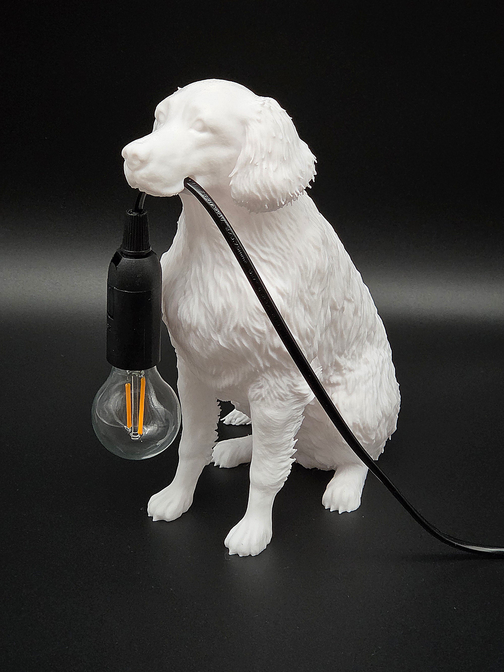 Lassie Vit - Flatcoated Retriever