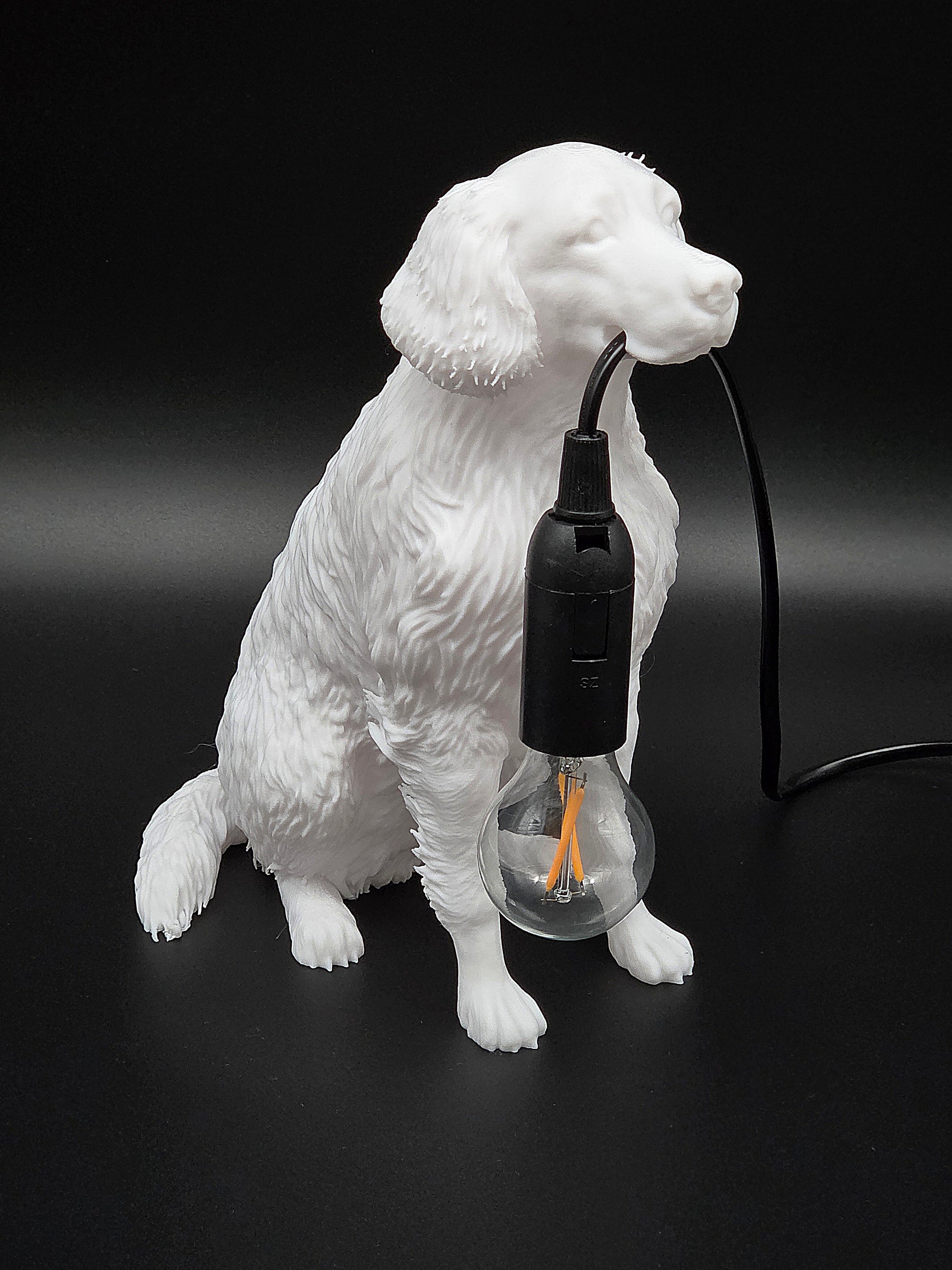 Lassie Vit - Flatcoated Retriever