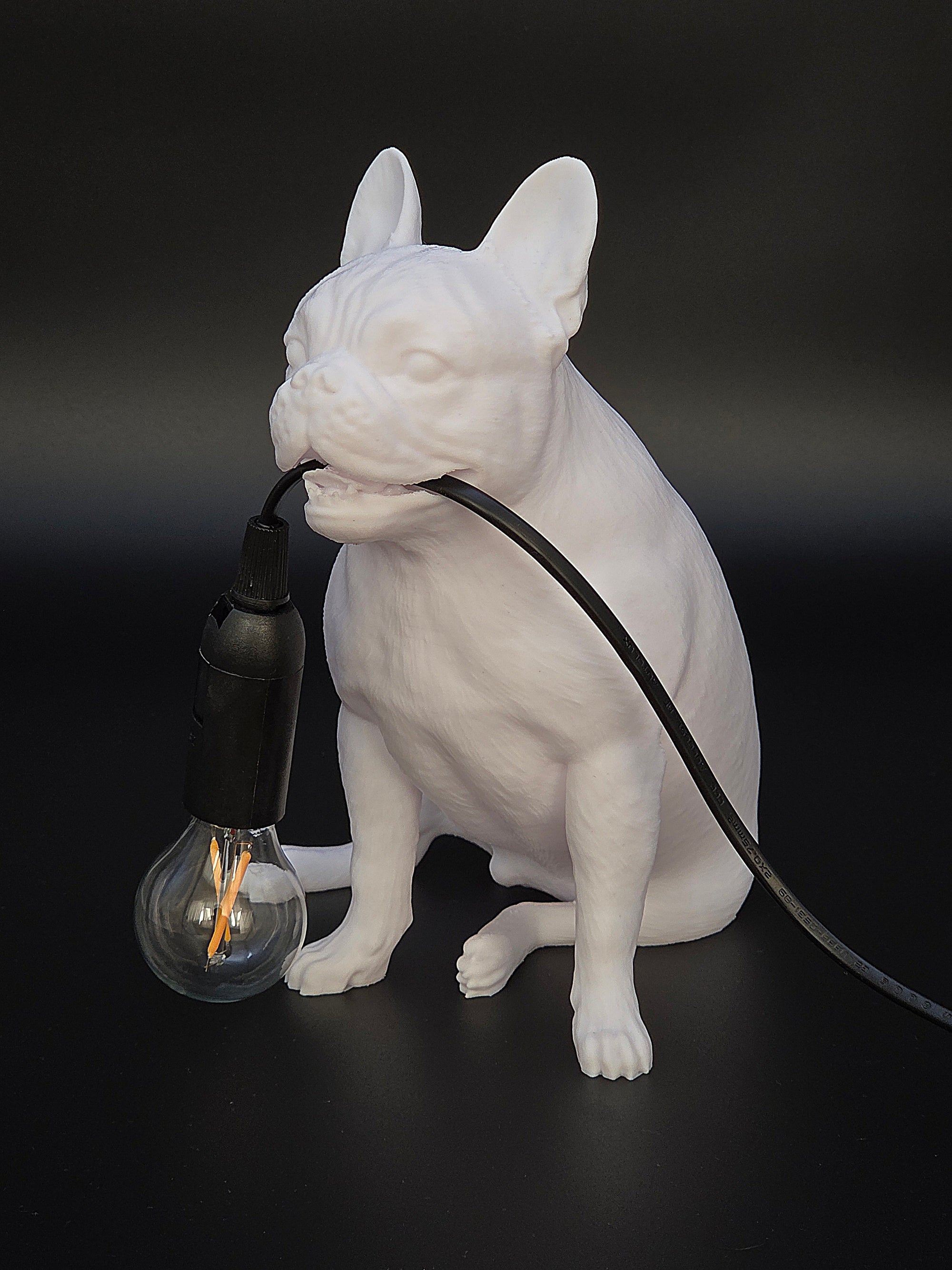 Frank Vit - Fransk Bulldogg