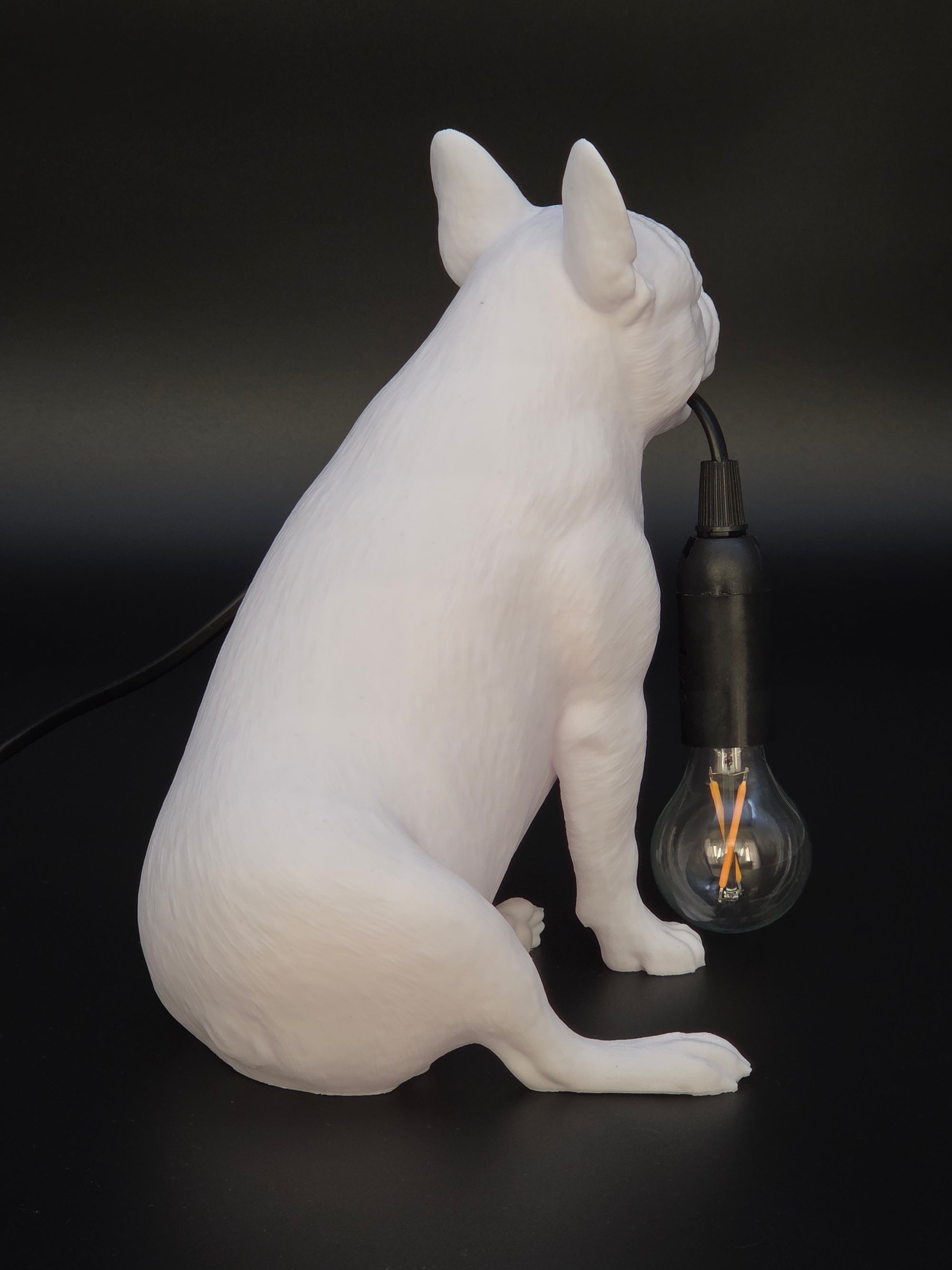 Frank Vit - Fransk Bulldogg