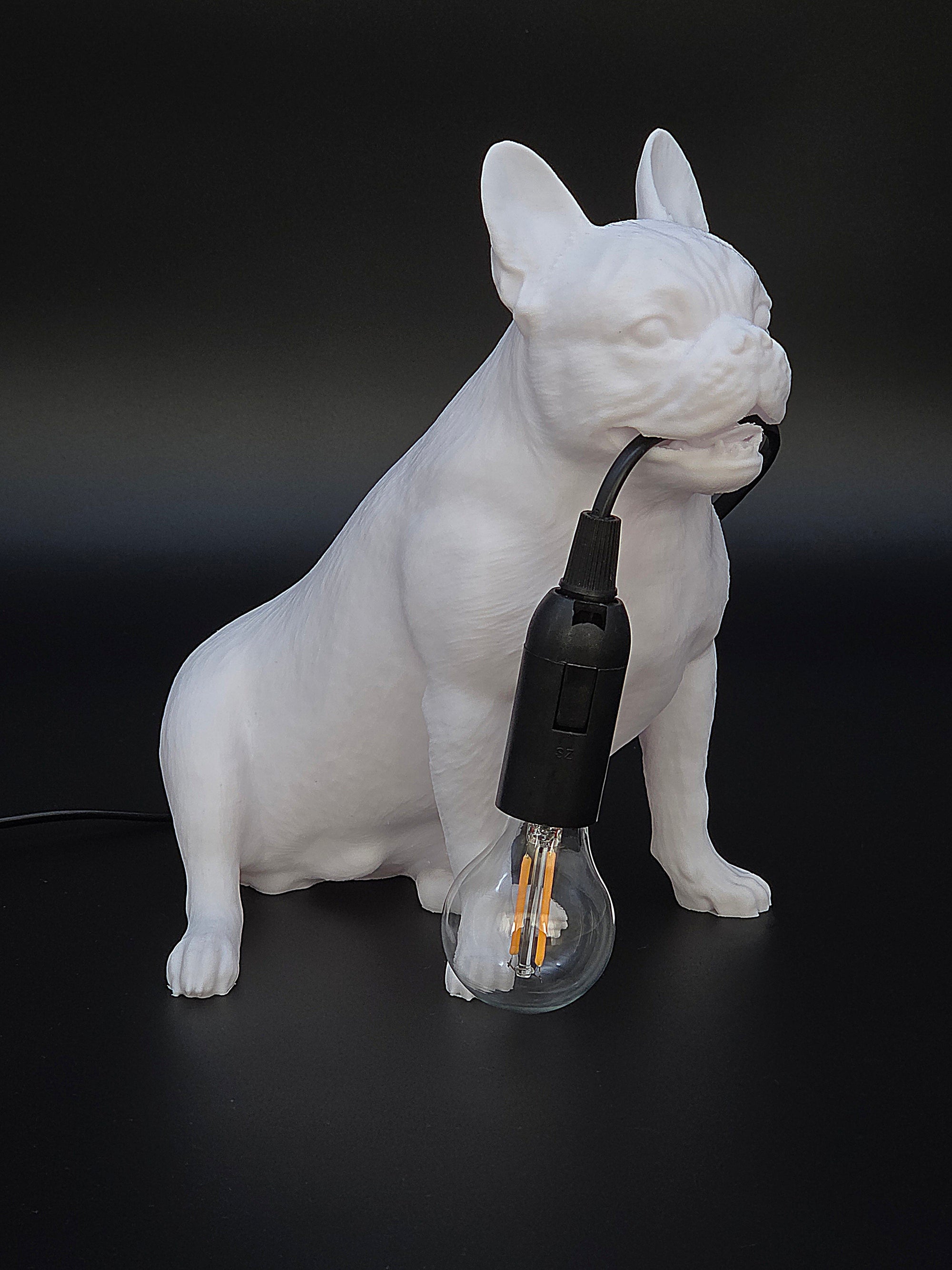 Frank Vit - Fransk Bulldogg