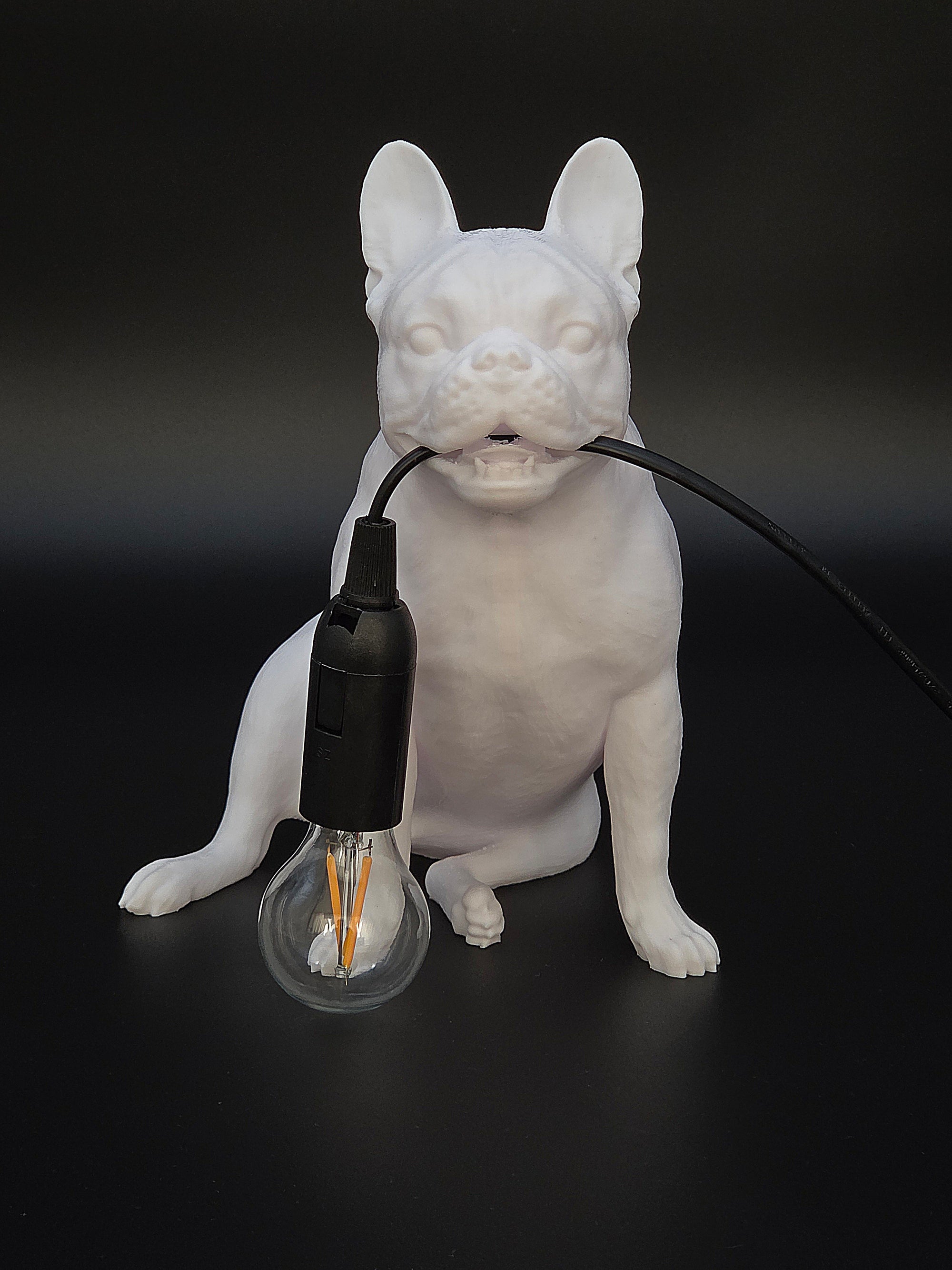 Frank Vit - Fransk Bulldogg
