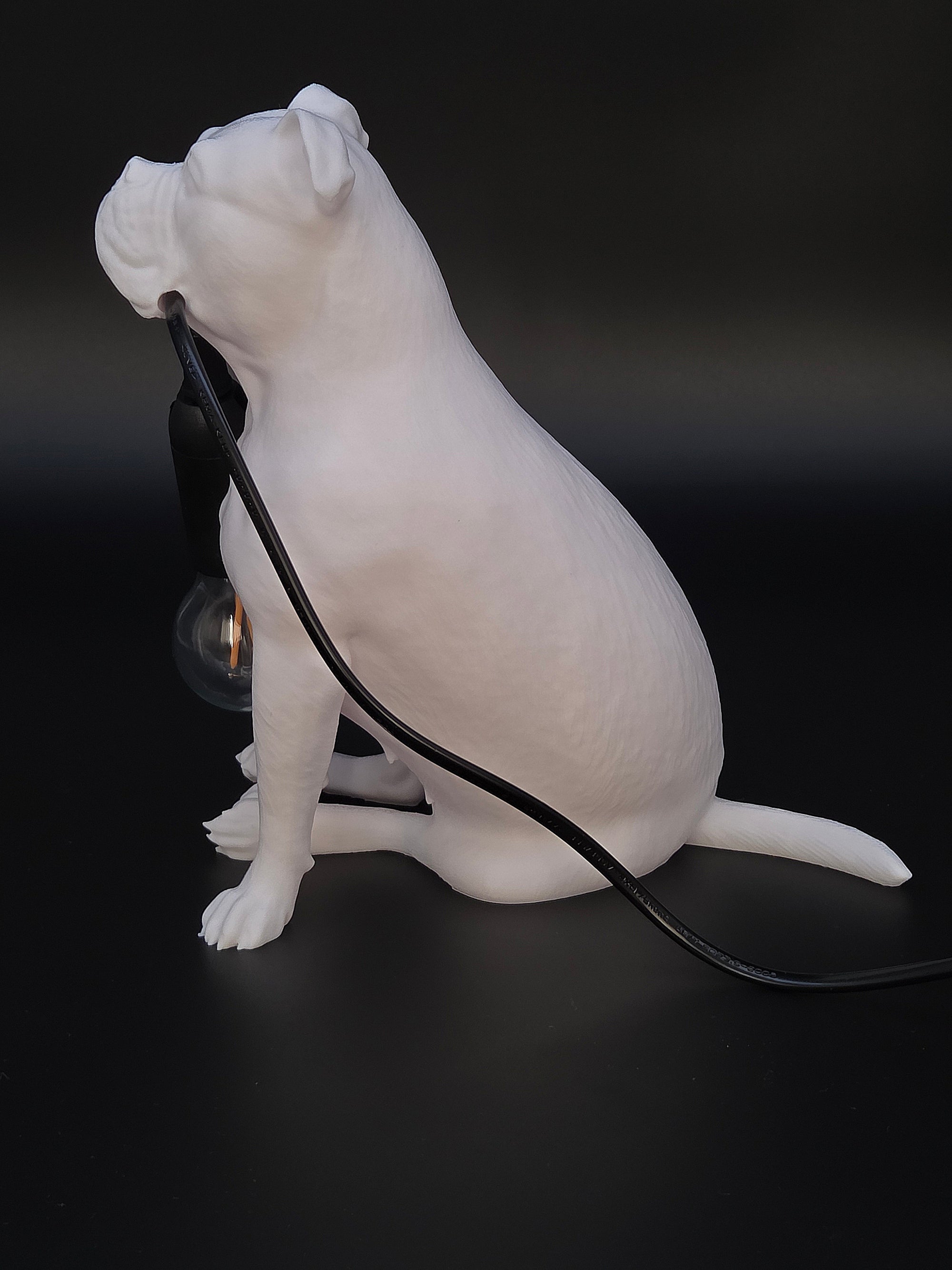 Molly Vit - Engelsk Bulldogg
