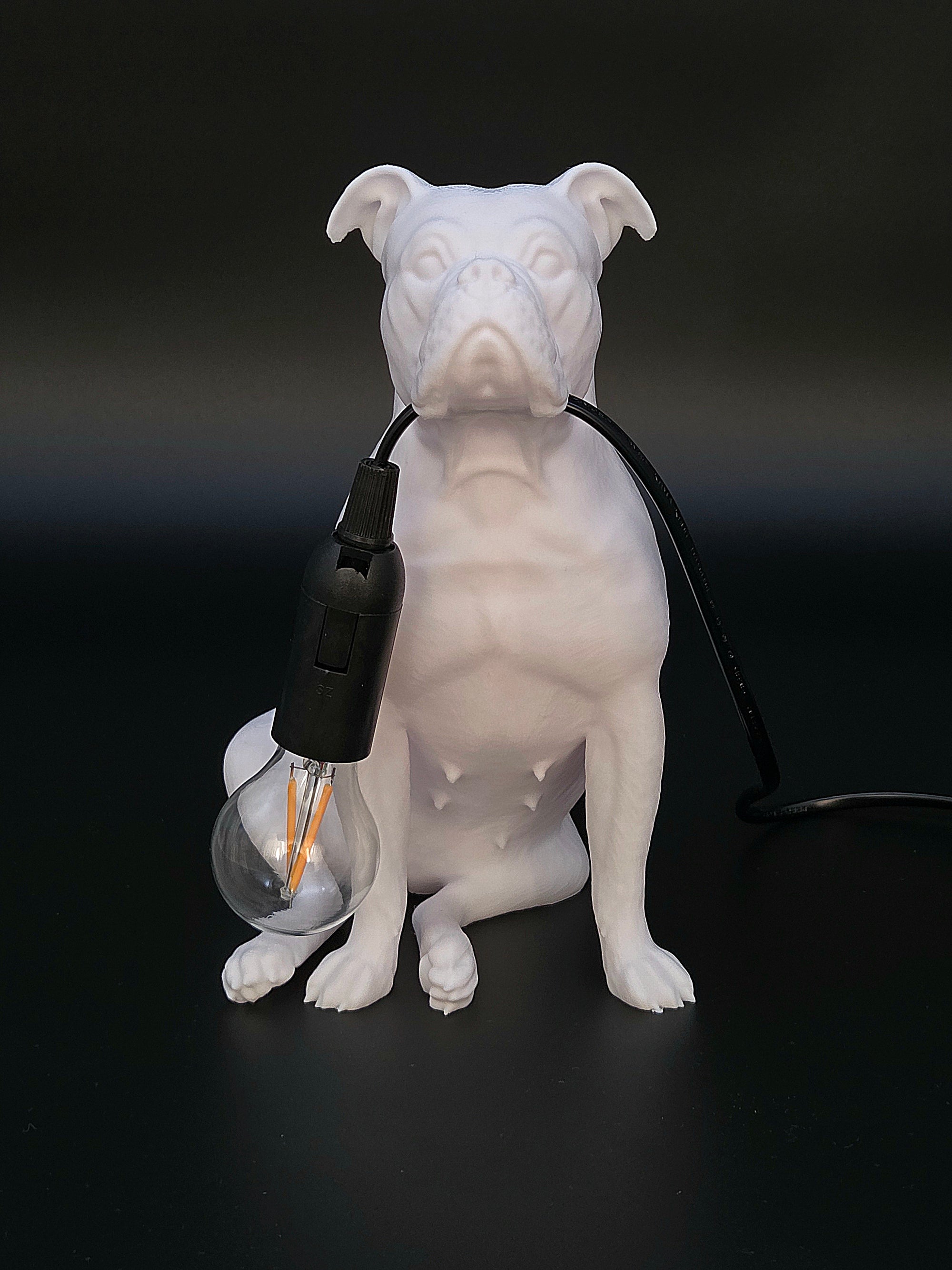 Molly Vit - Engelsk Bulldogg