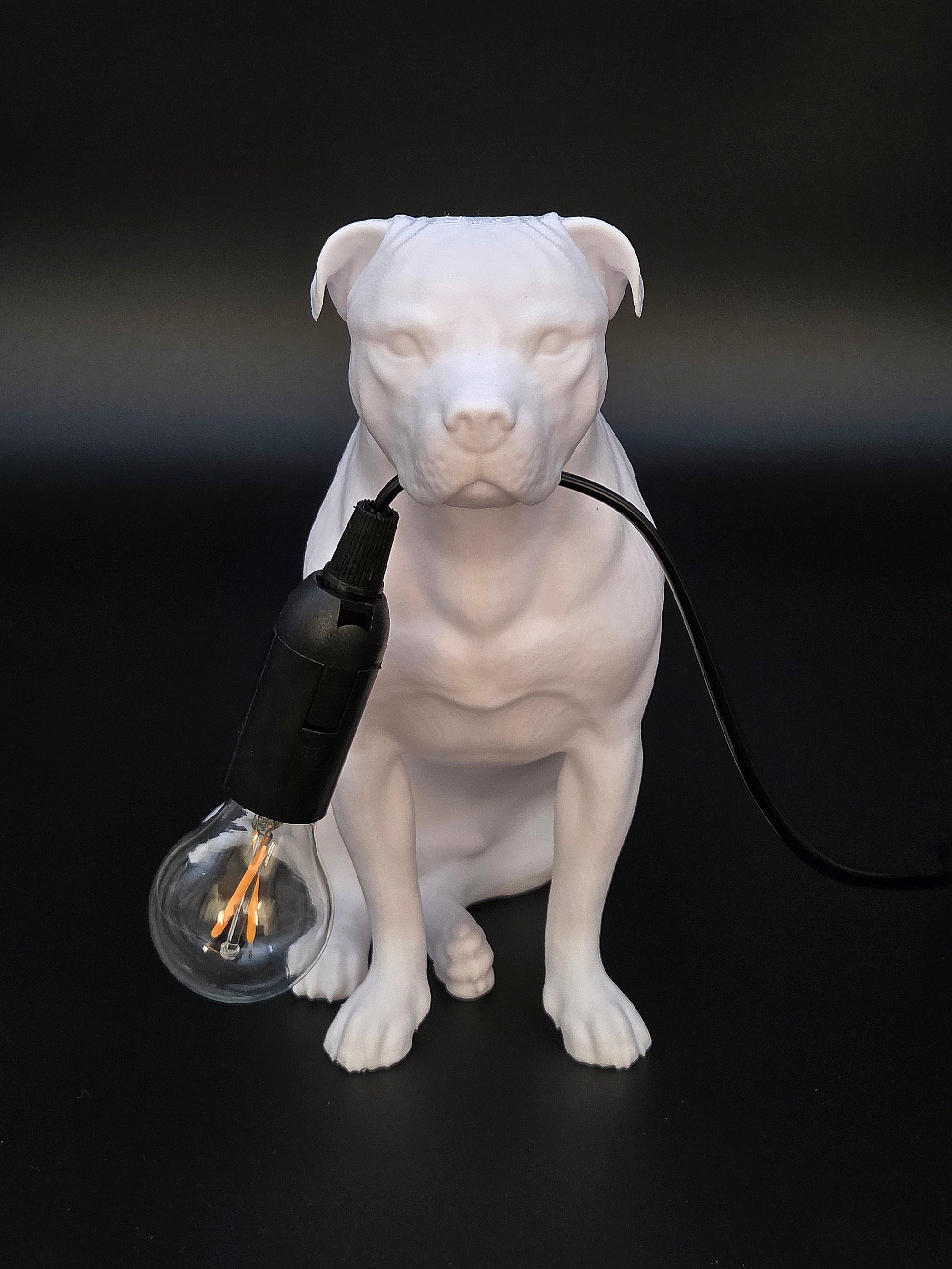 Tyson Vit - Staffordshire Bullterrier