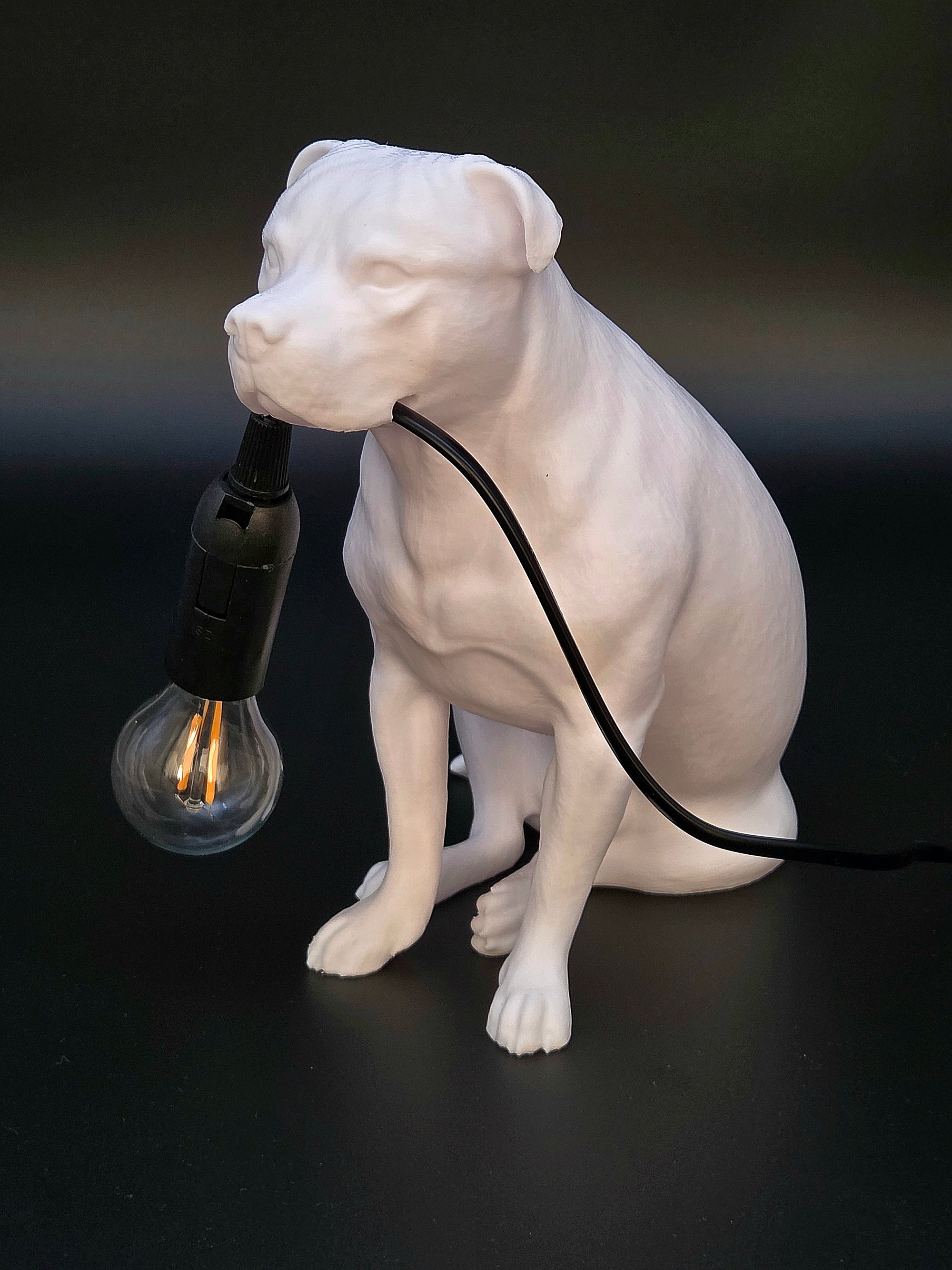Tyson Vit - Staffordshire Bullterrier