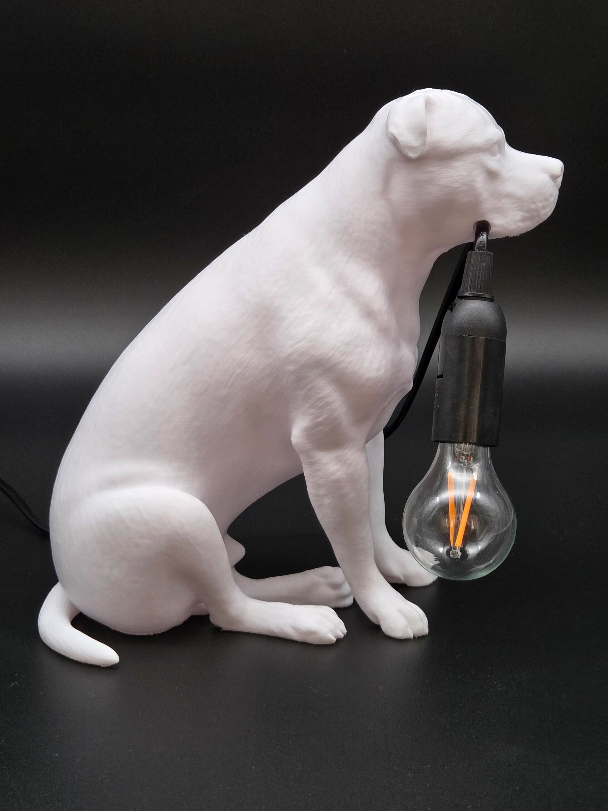 Tyson Vit - Staffordshire Bullterrier