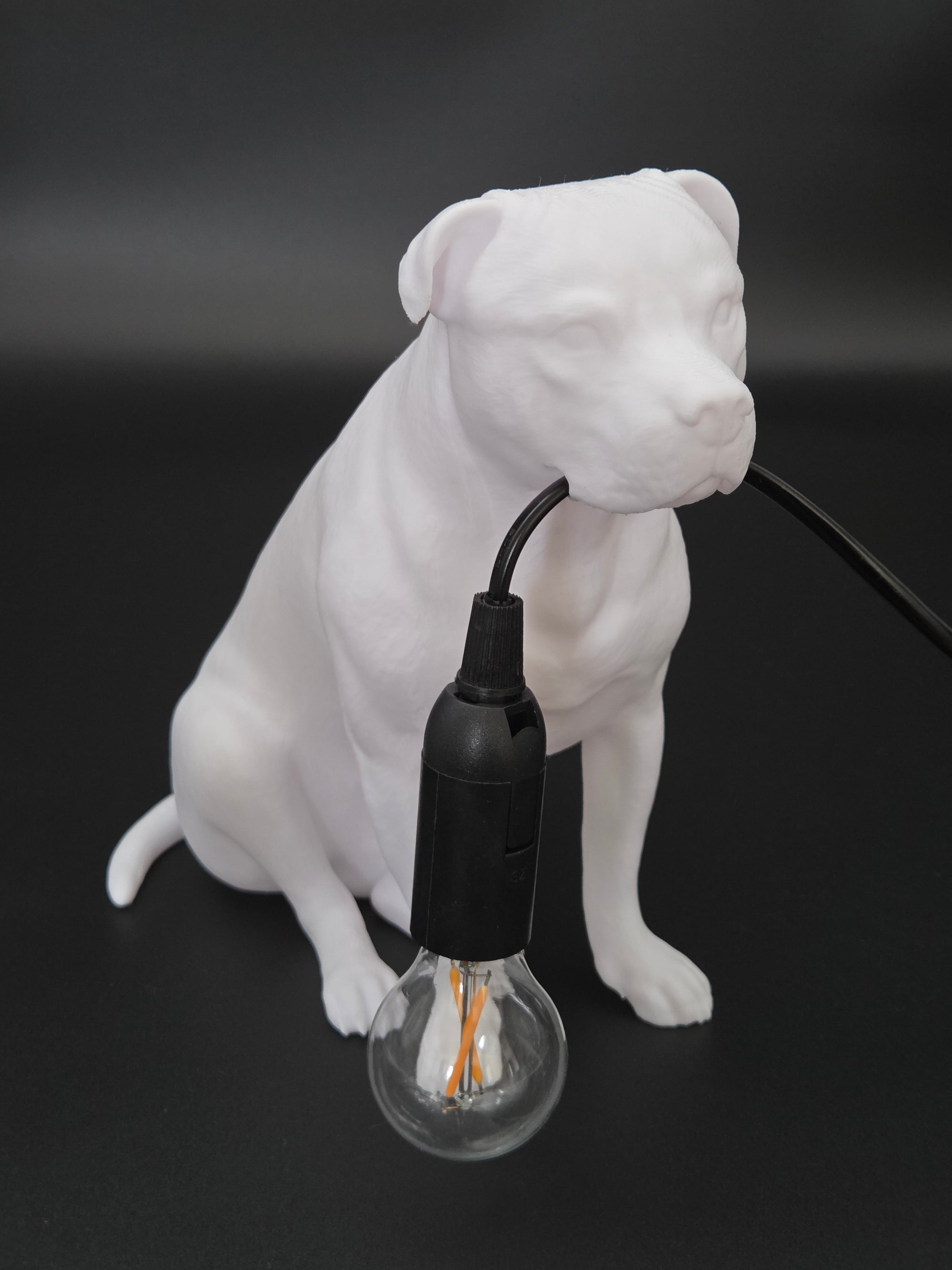 Tyson Vit - Staffordshire Bullterrier