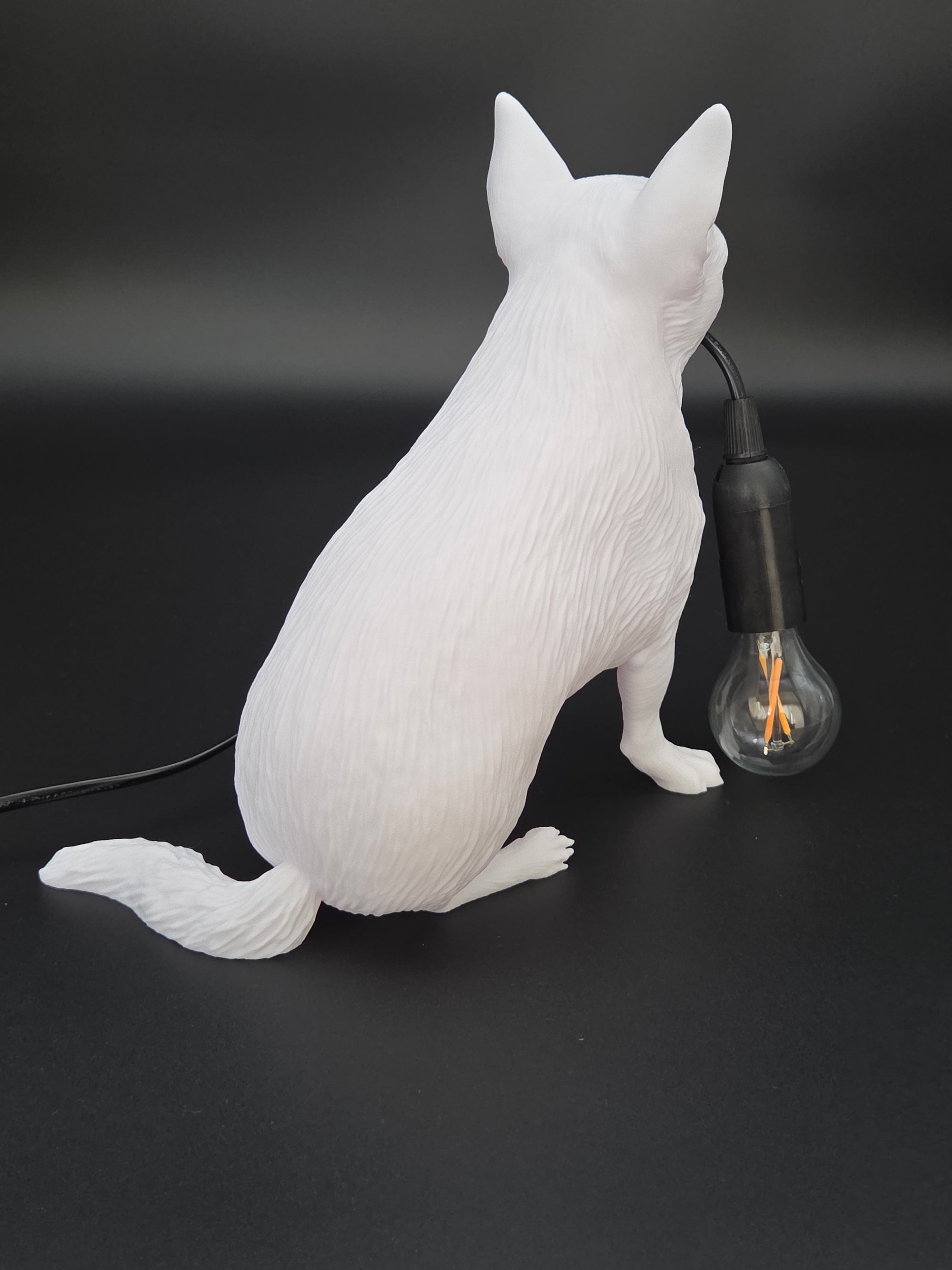 Gino Vit - Chihuahua