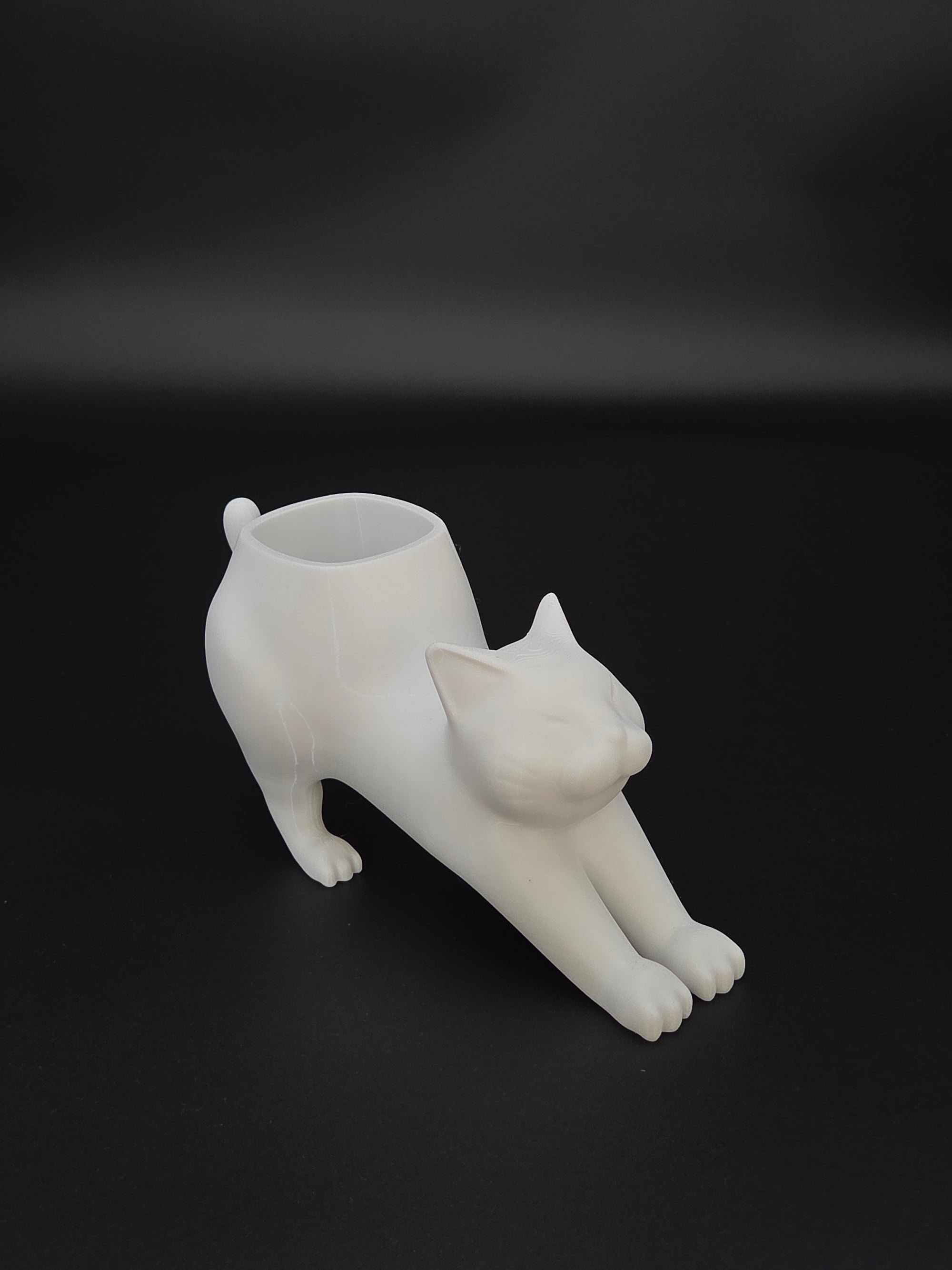 Gato - Katt