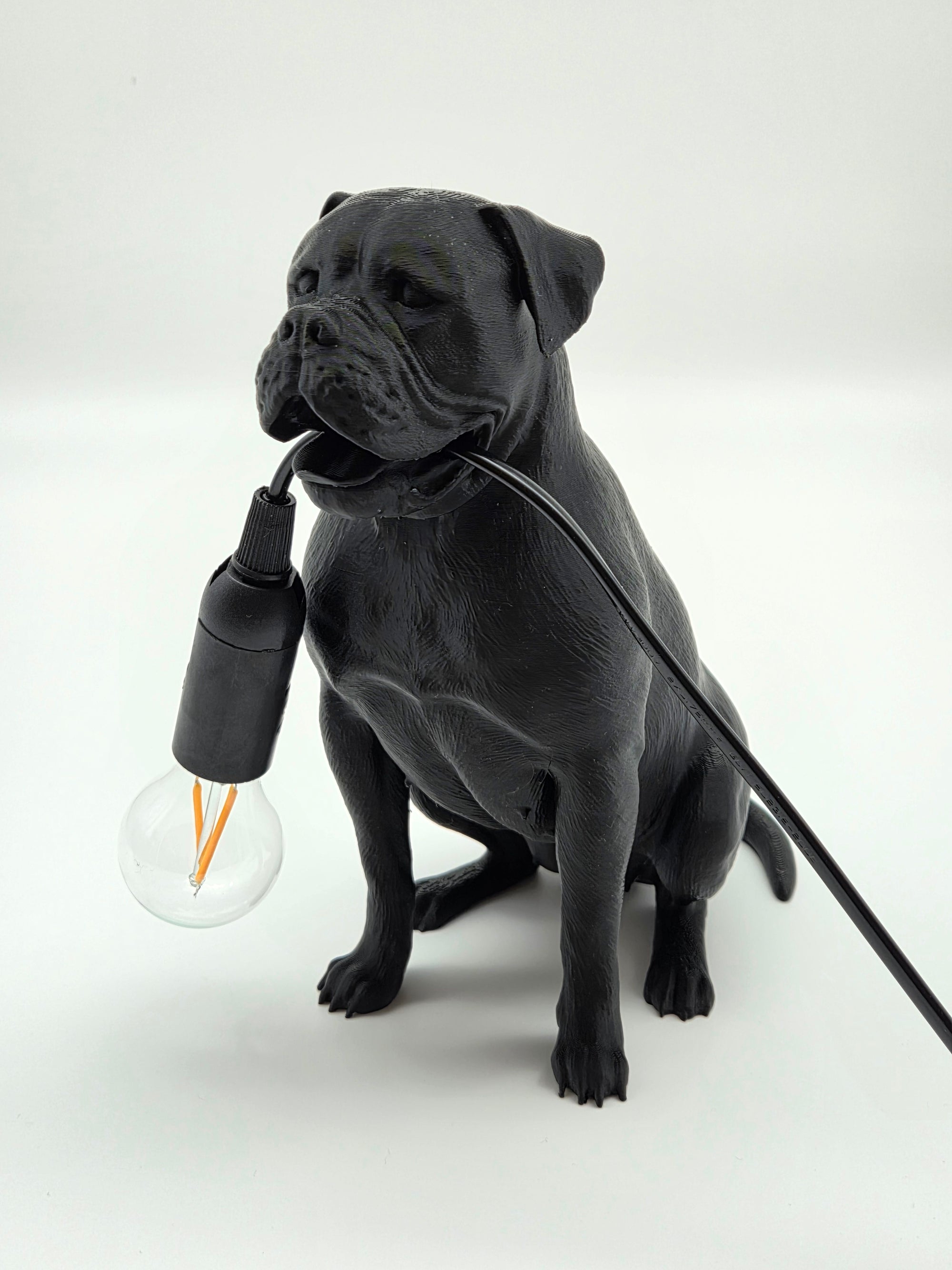 Tully - Engelsk Bulldogg