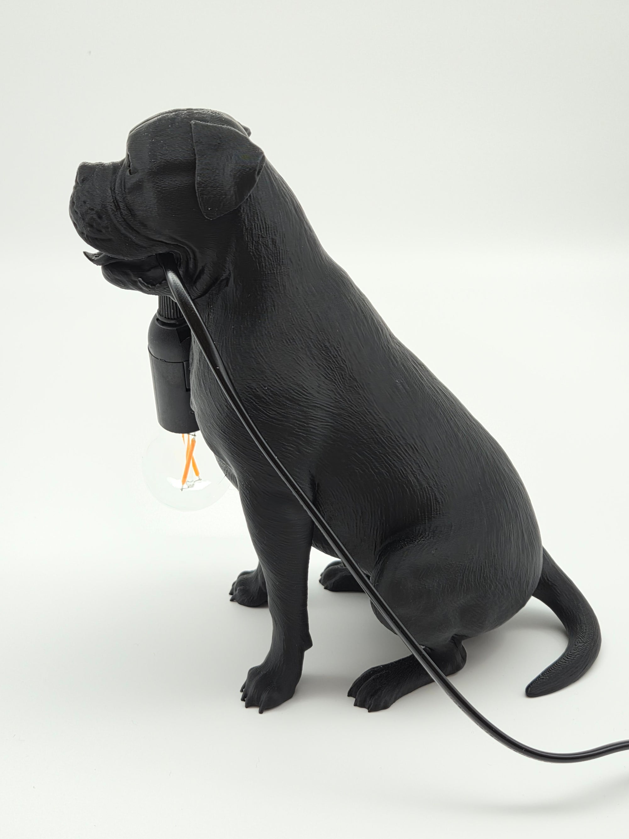 Tully - Engelsk Bulldogg