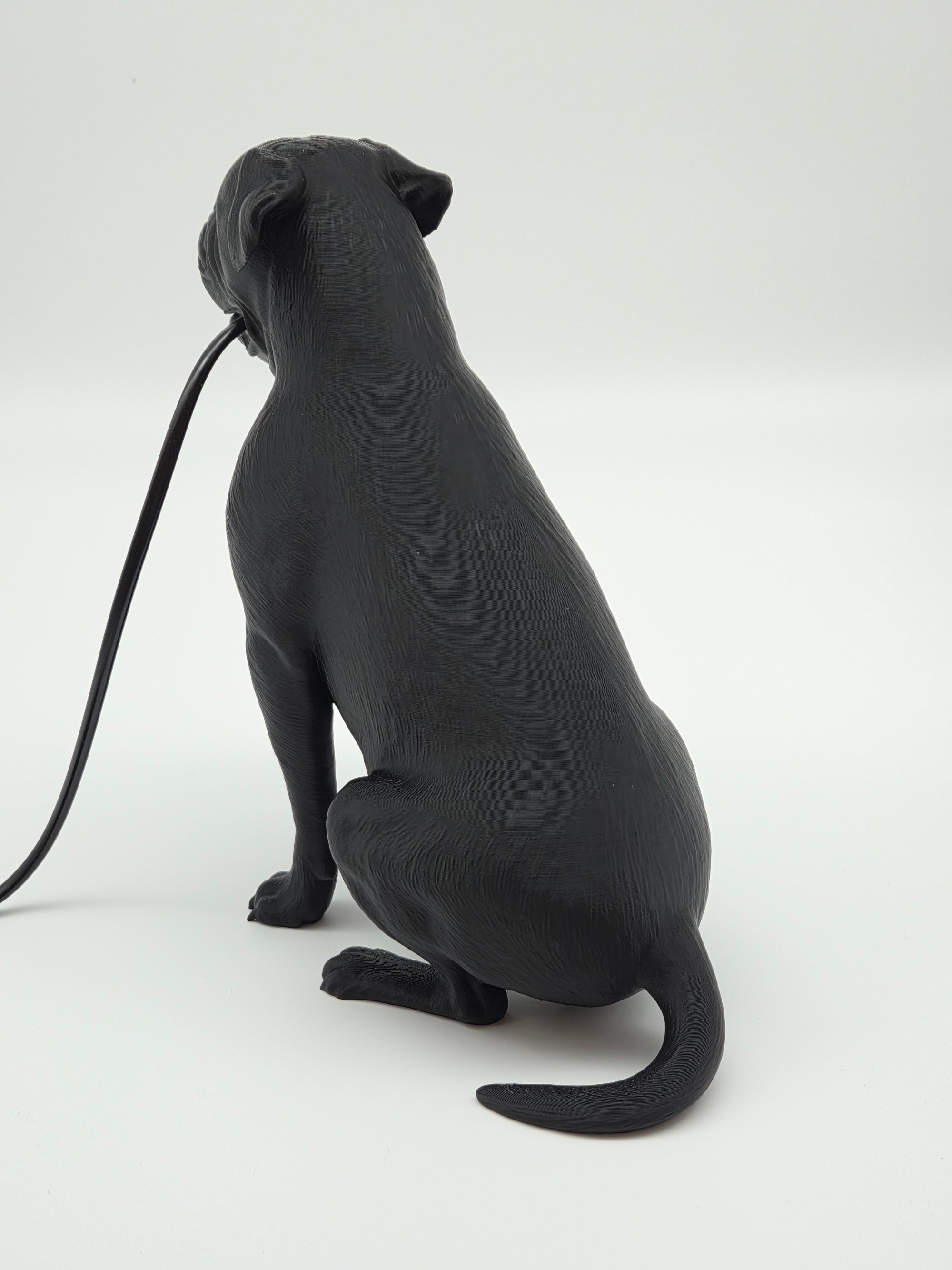 Tully - Engelsk Bulldogg