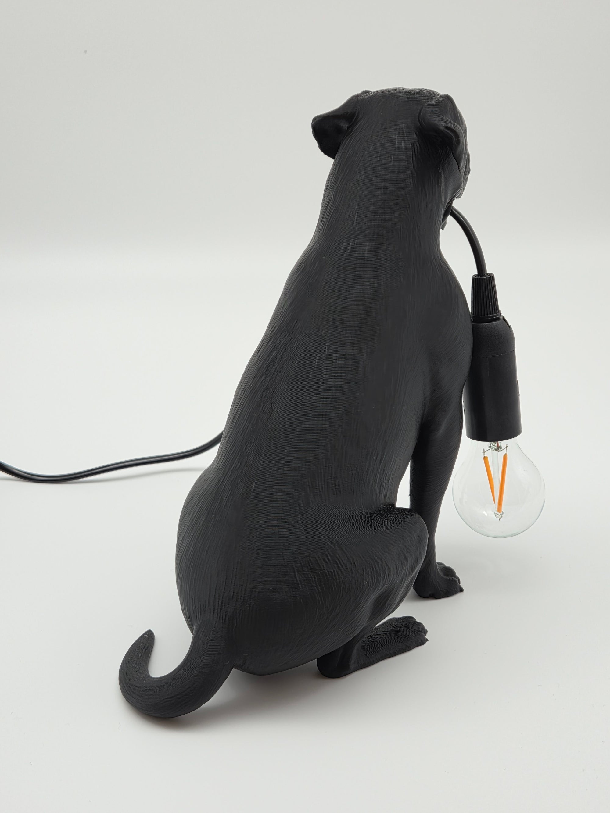 Tully - Engelsk Bulldogg