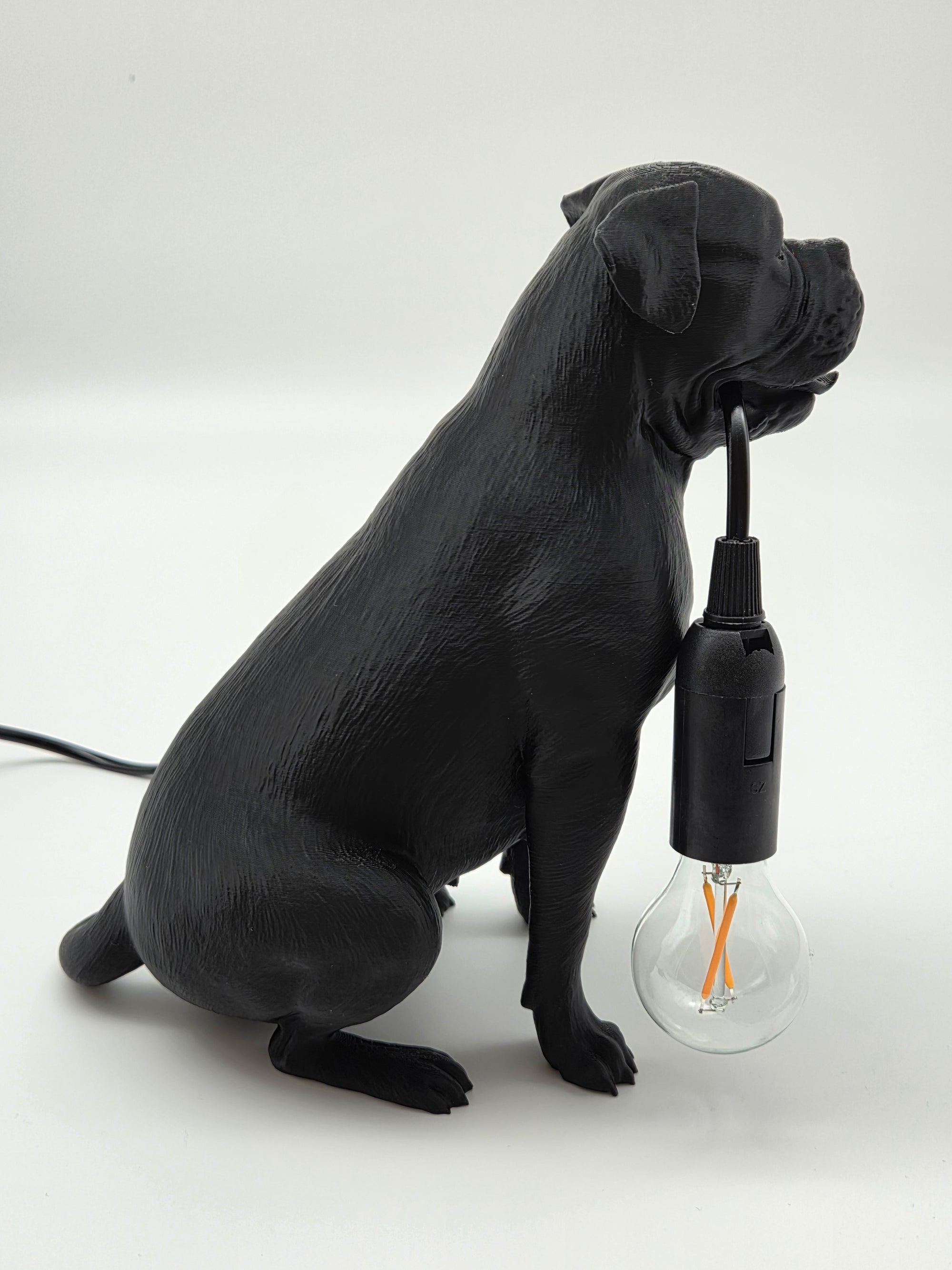 Tully - Engelsk Bulldogg