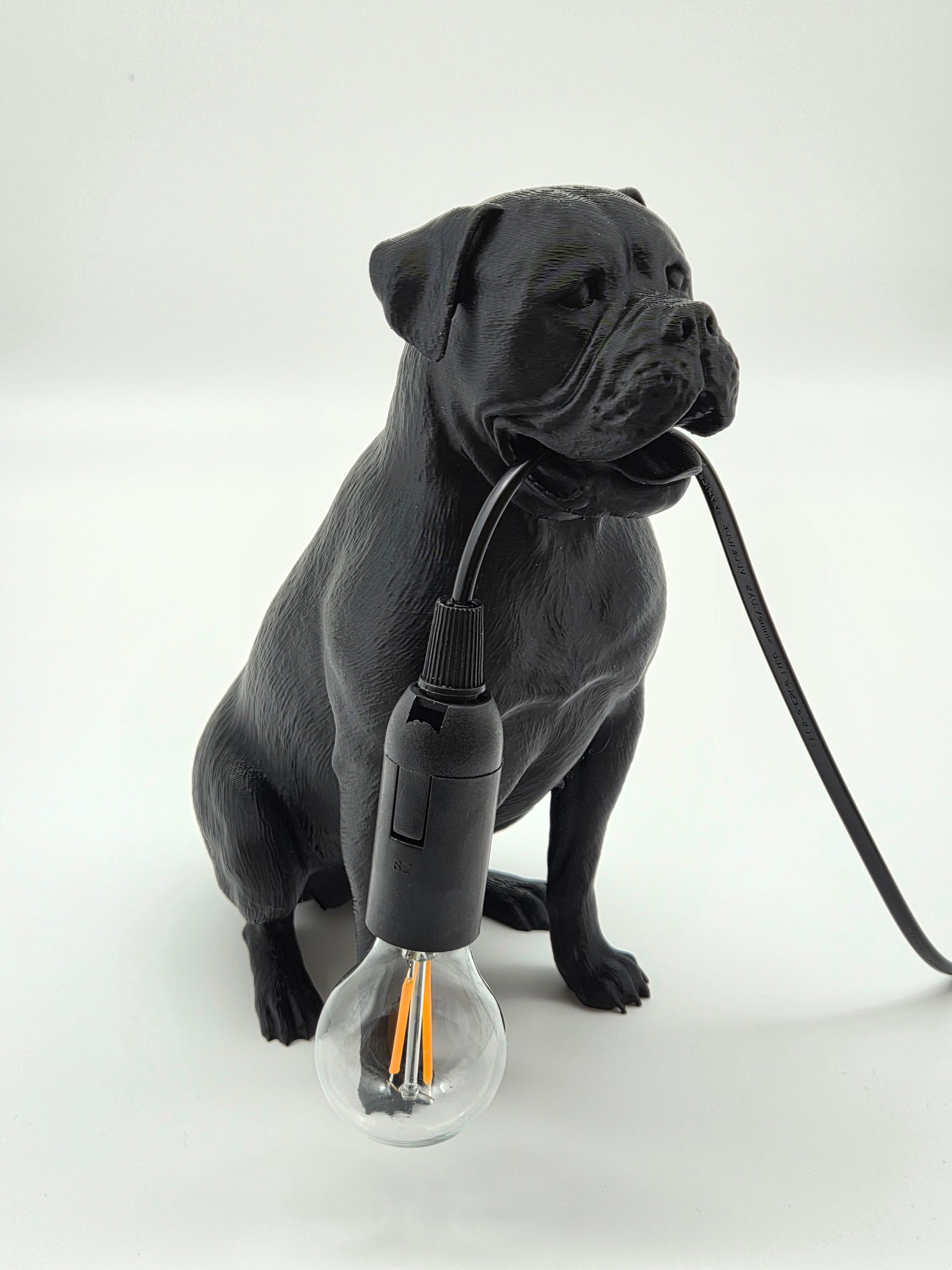 Tully - Engelsk Bulldogg