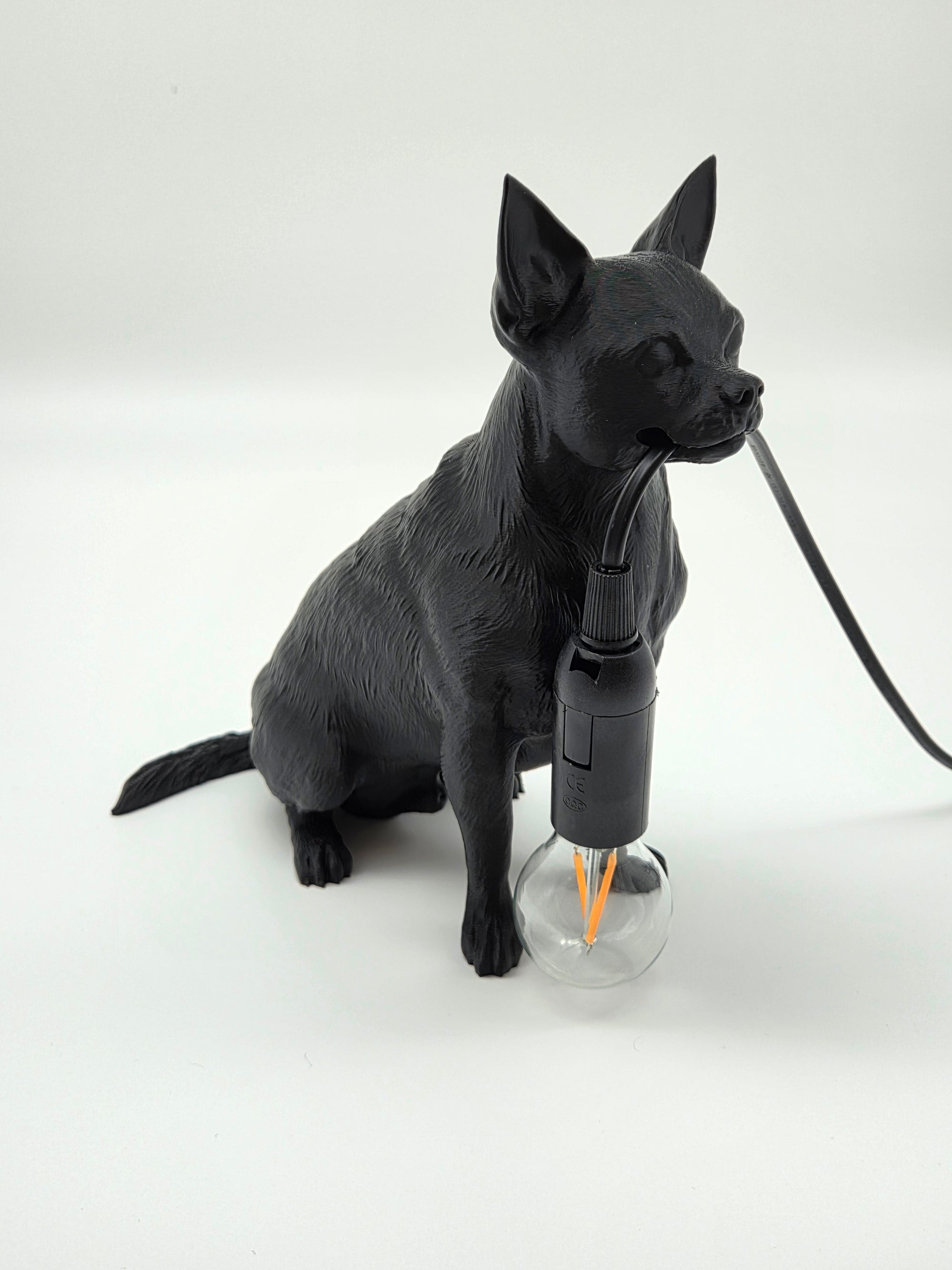 Bruno - Chihuahua/Dvärgpinscher