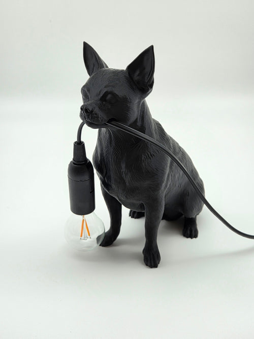Bruno - Chihuahua/Dvärgpinscher