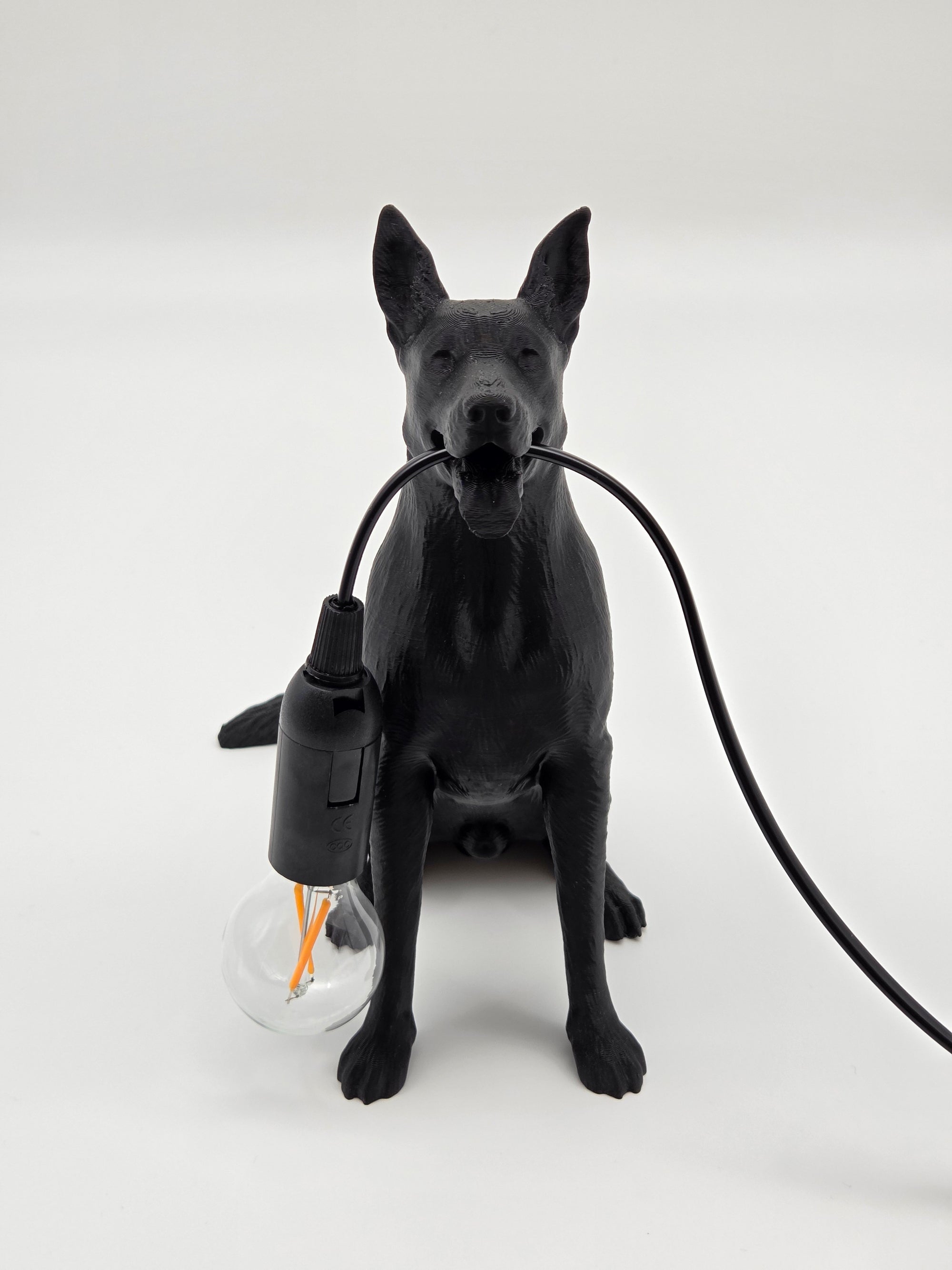 Gordon - Tysk Schäferhund