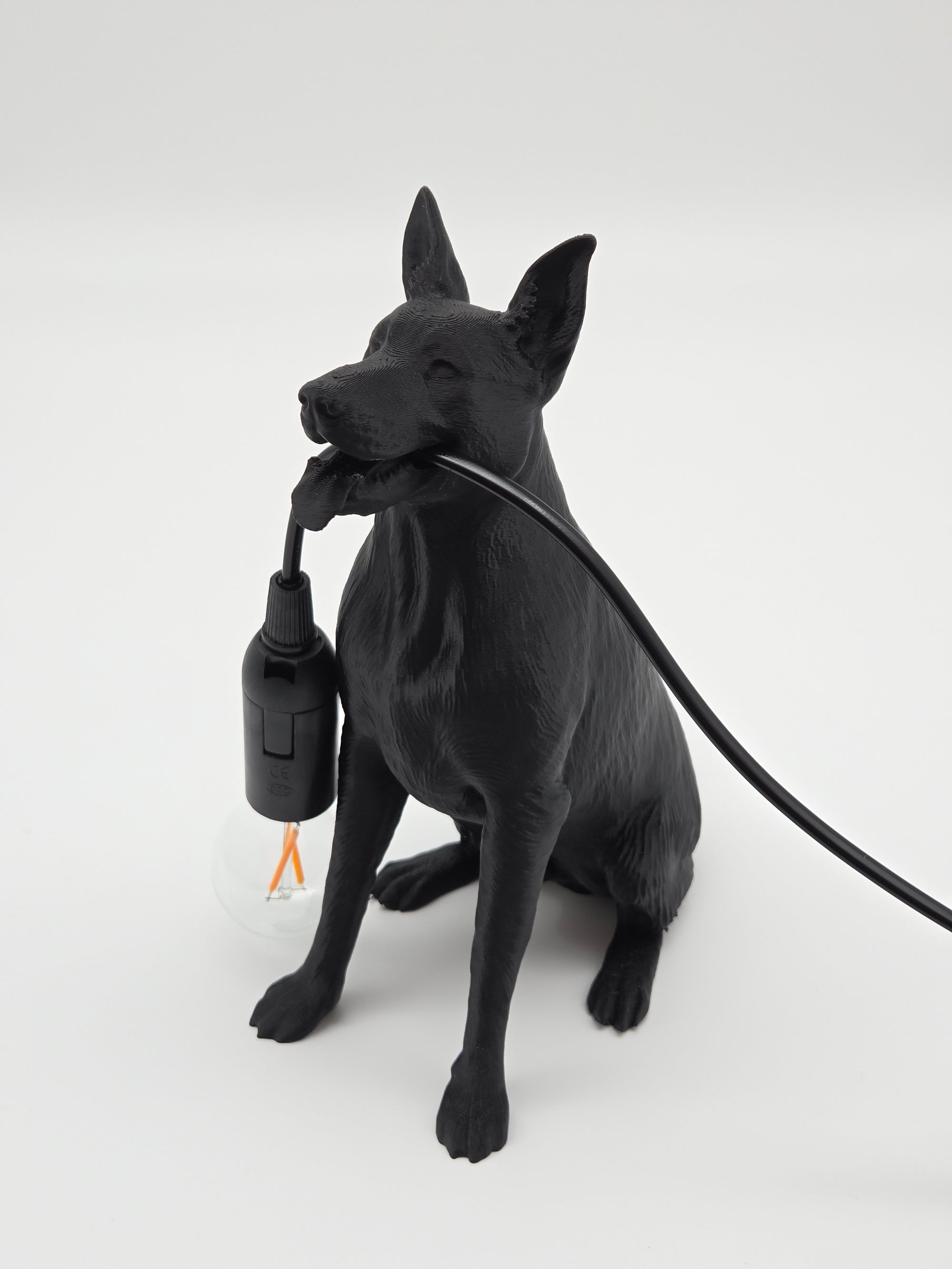Gordon - Tysk Schäferhund