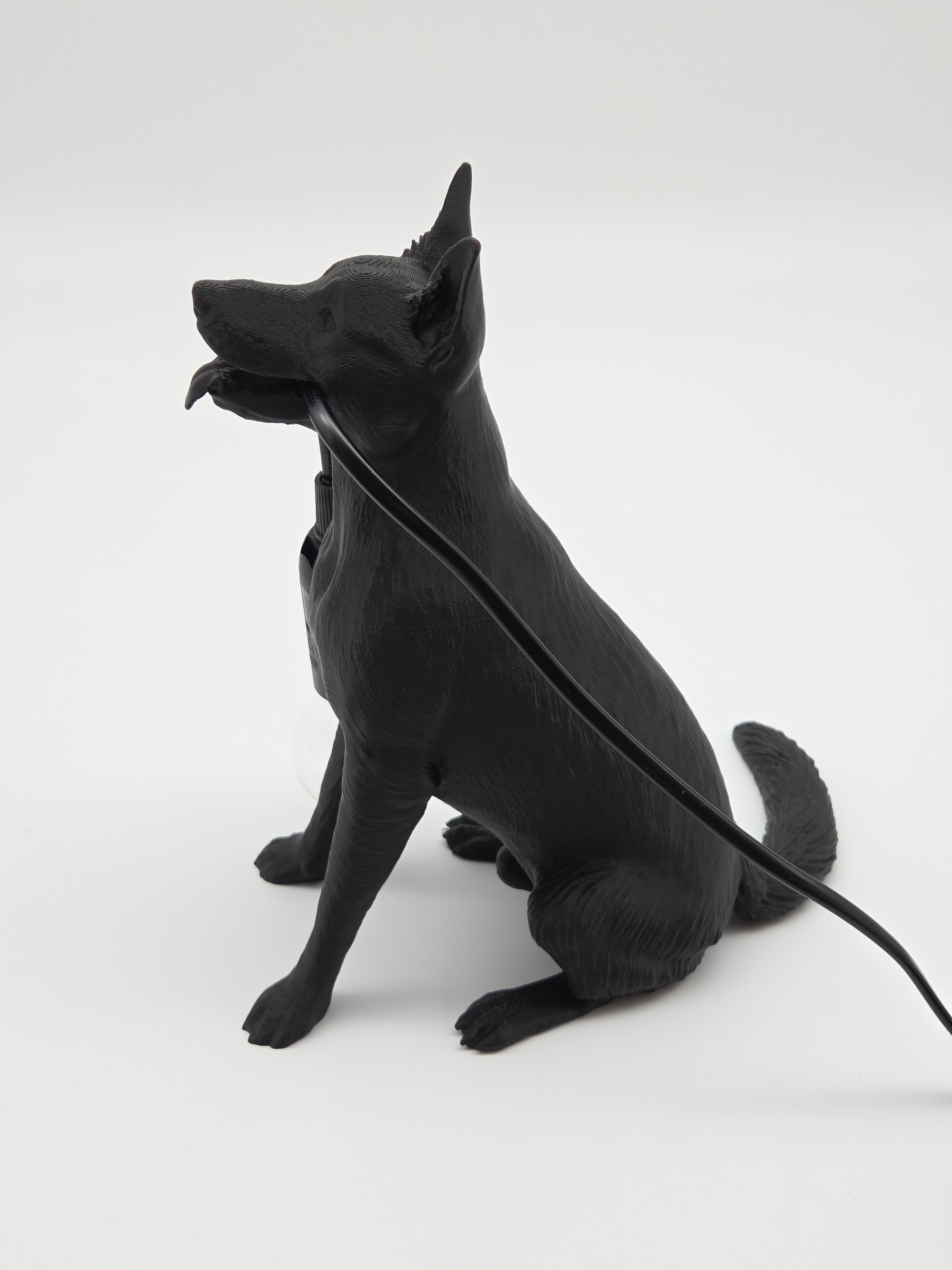 Gordon - Tysk Schäferhund
