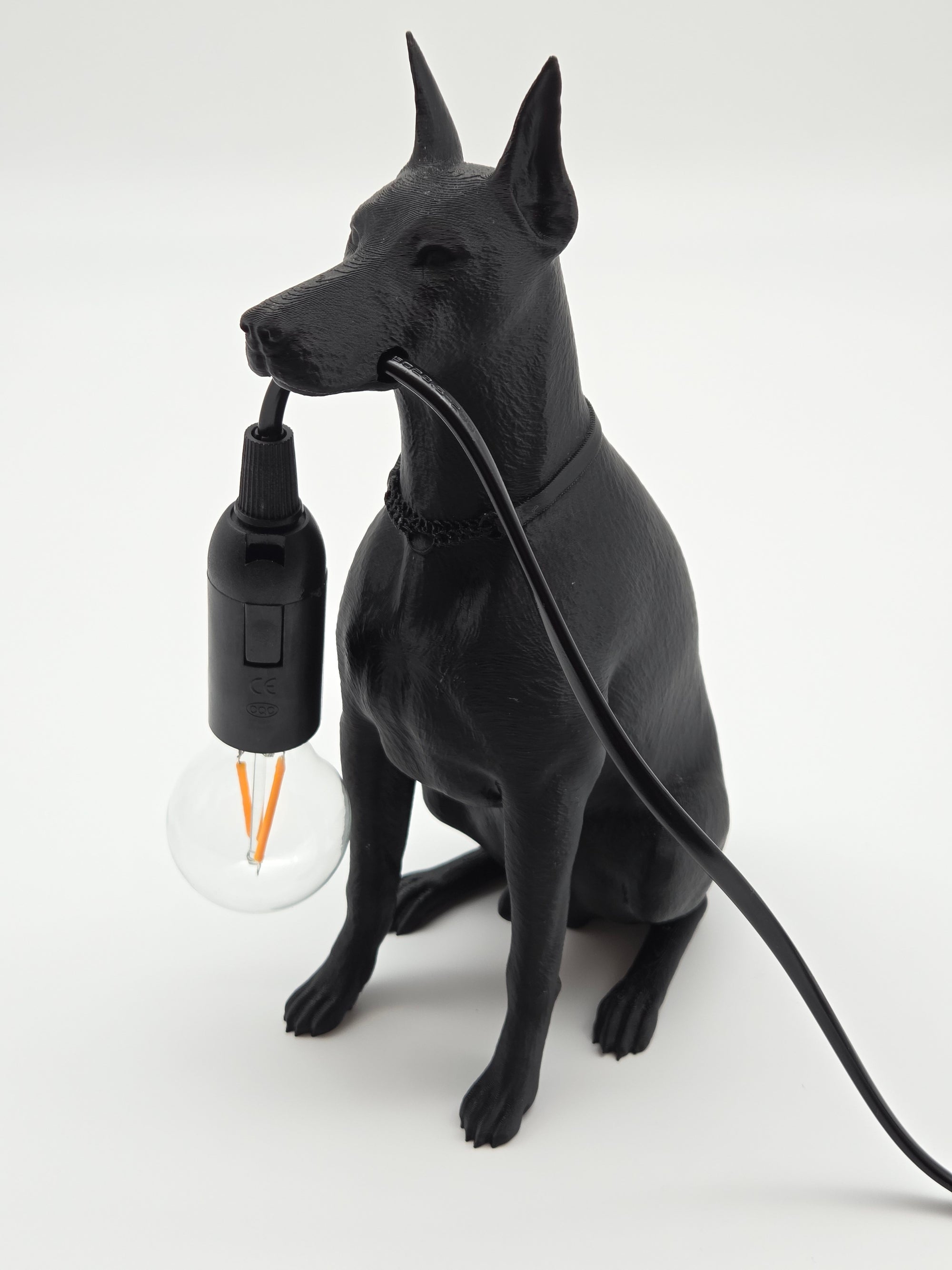 Spikey - Dobermann