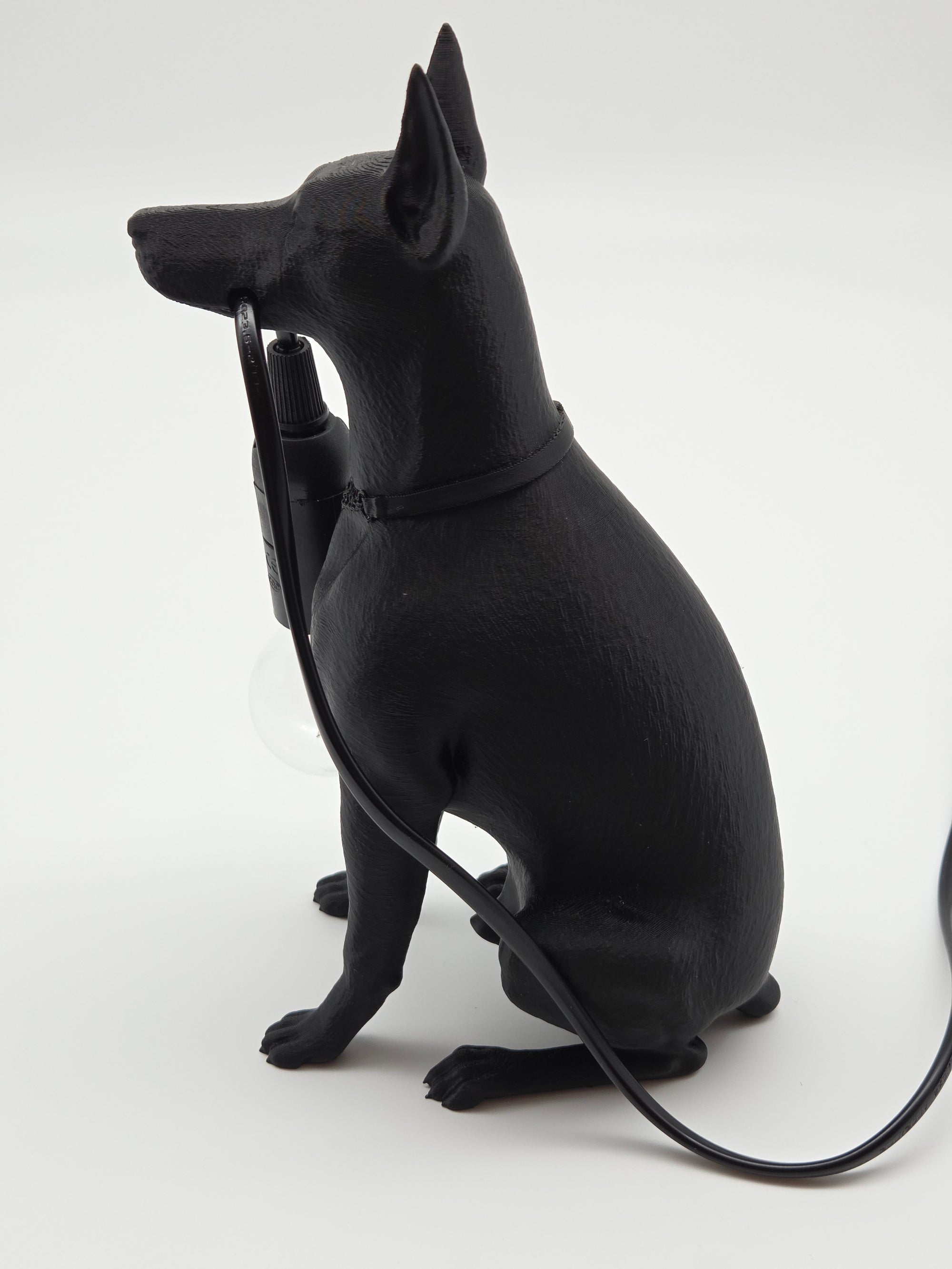 Spikey - Dobermann