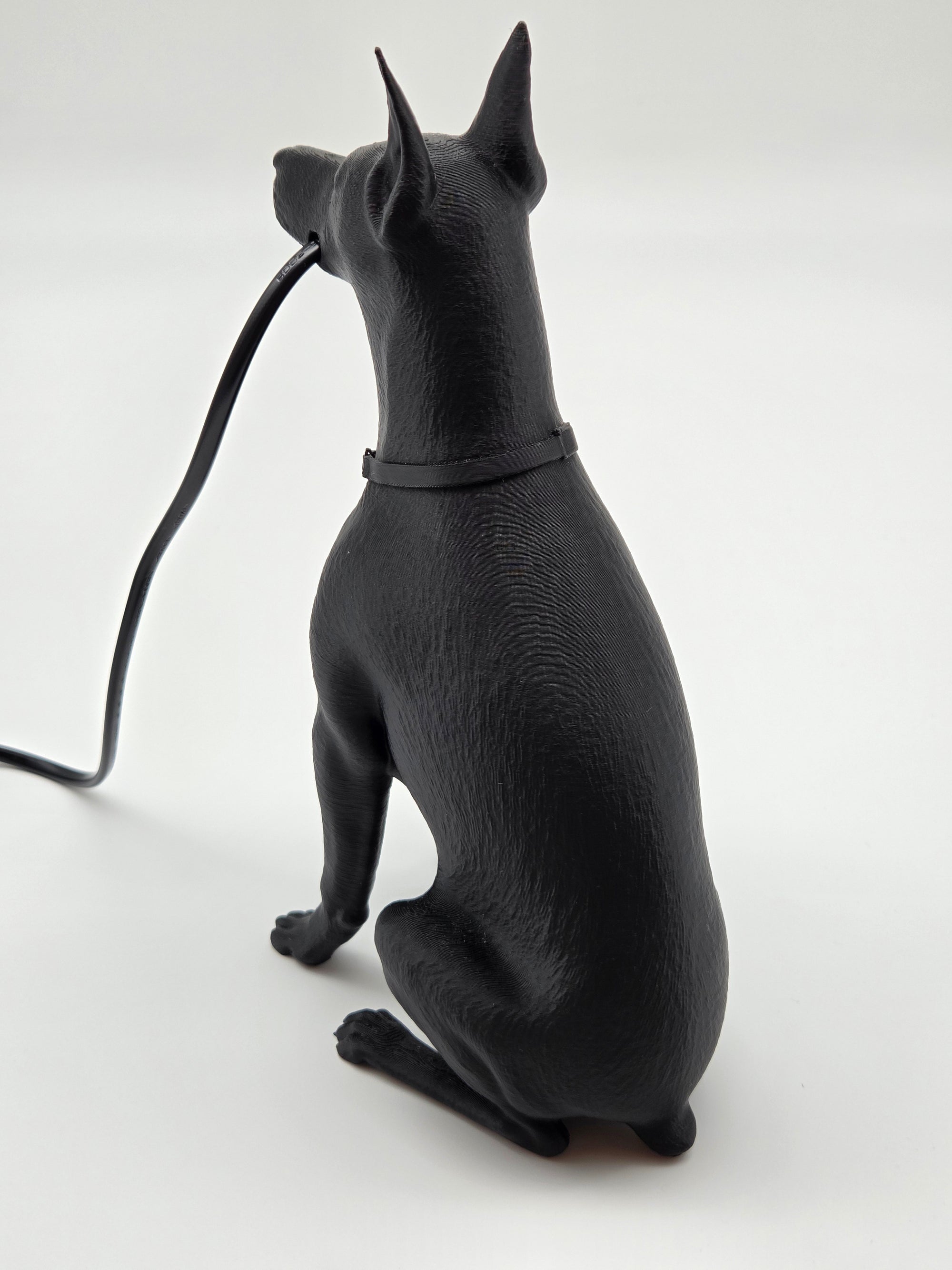 Spikey - Dobermann