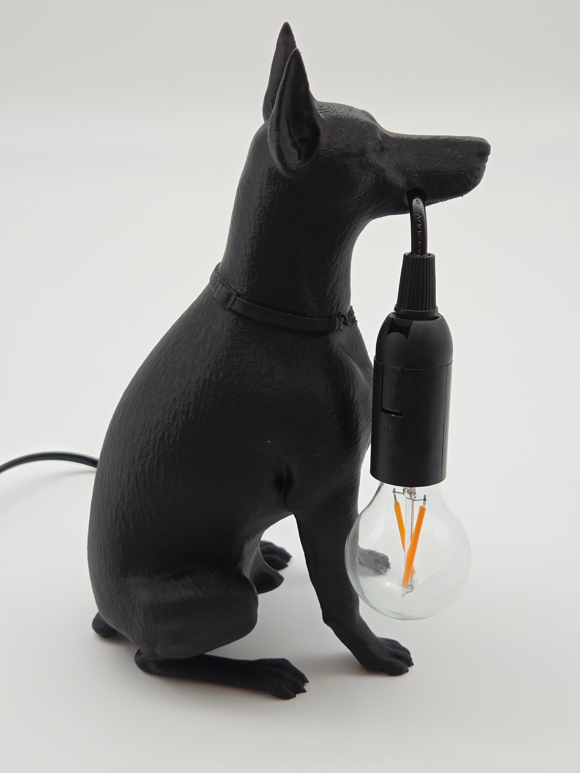Spikey - Dobermann