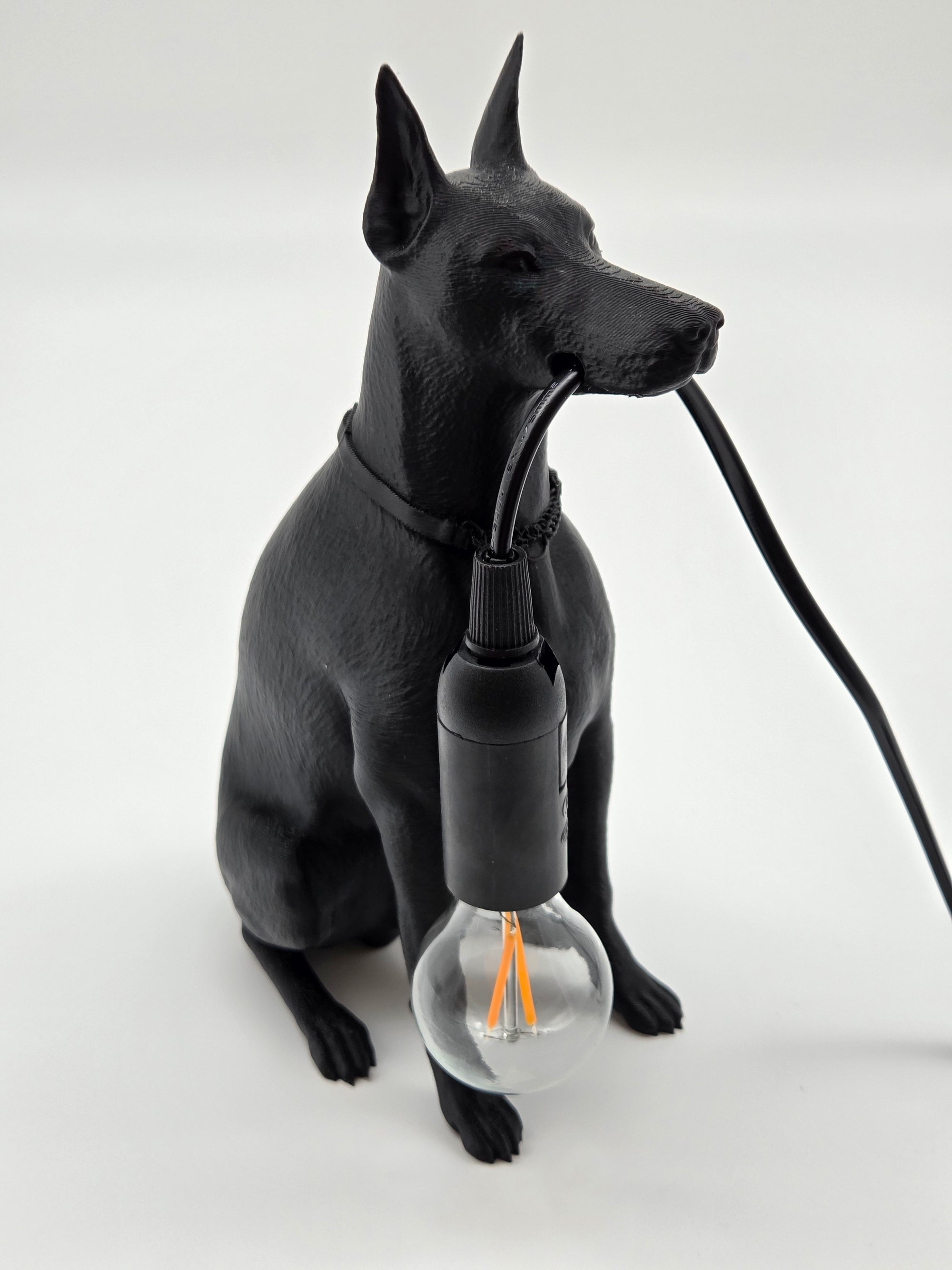 Spikey - Dobermann