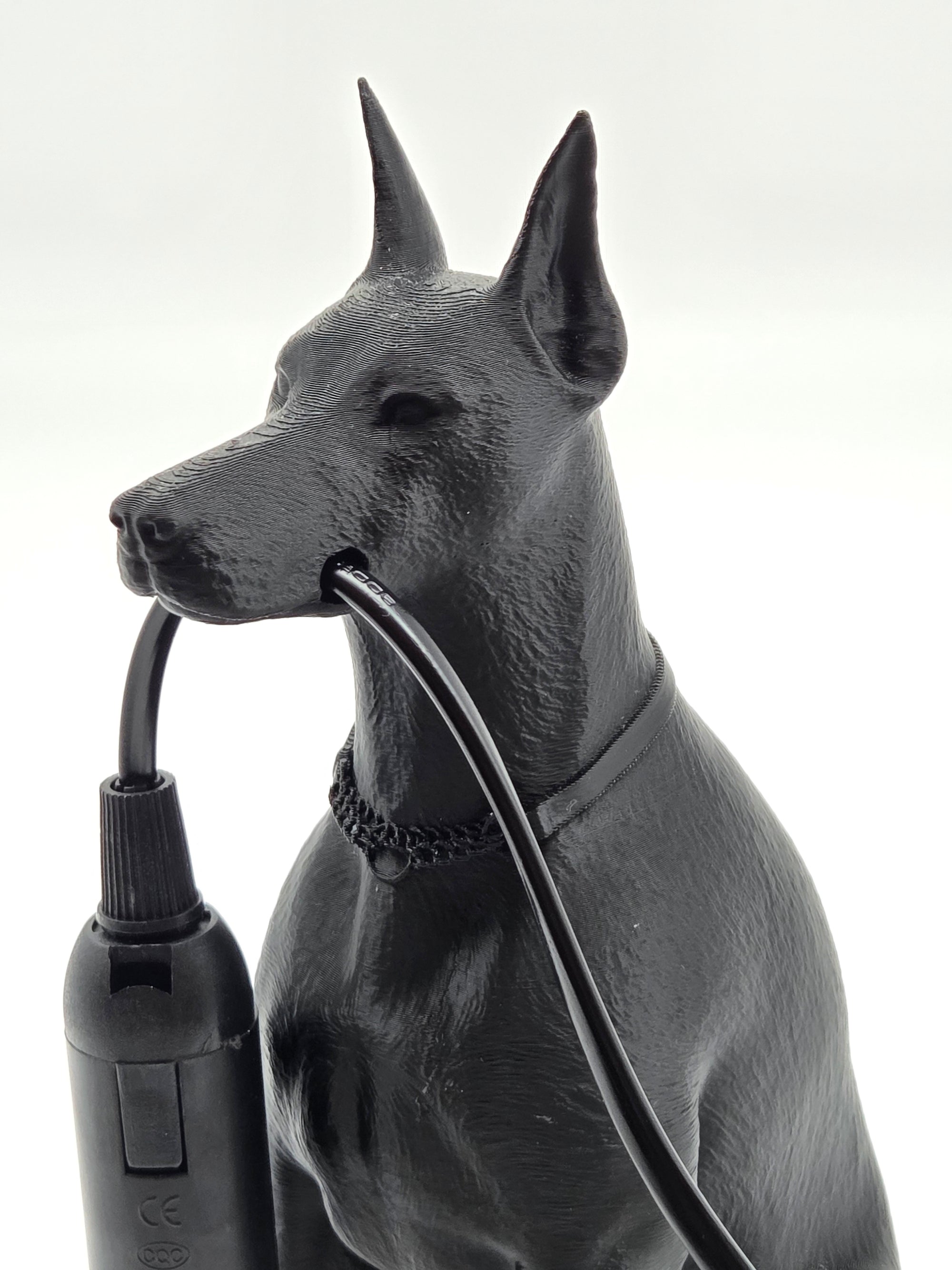 Spikey - Dobermann