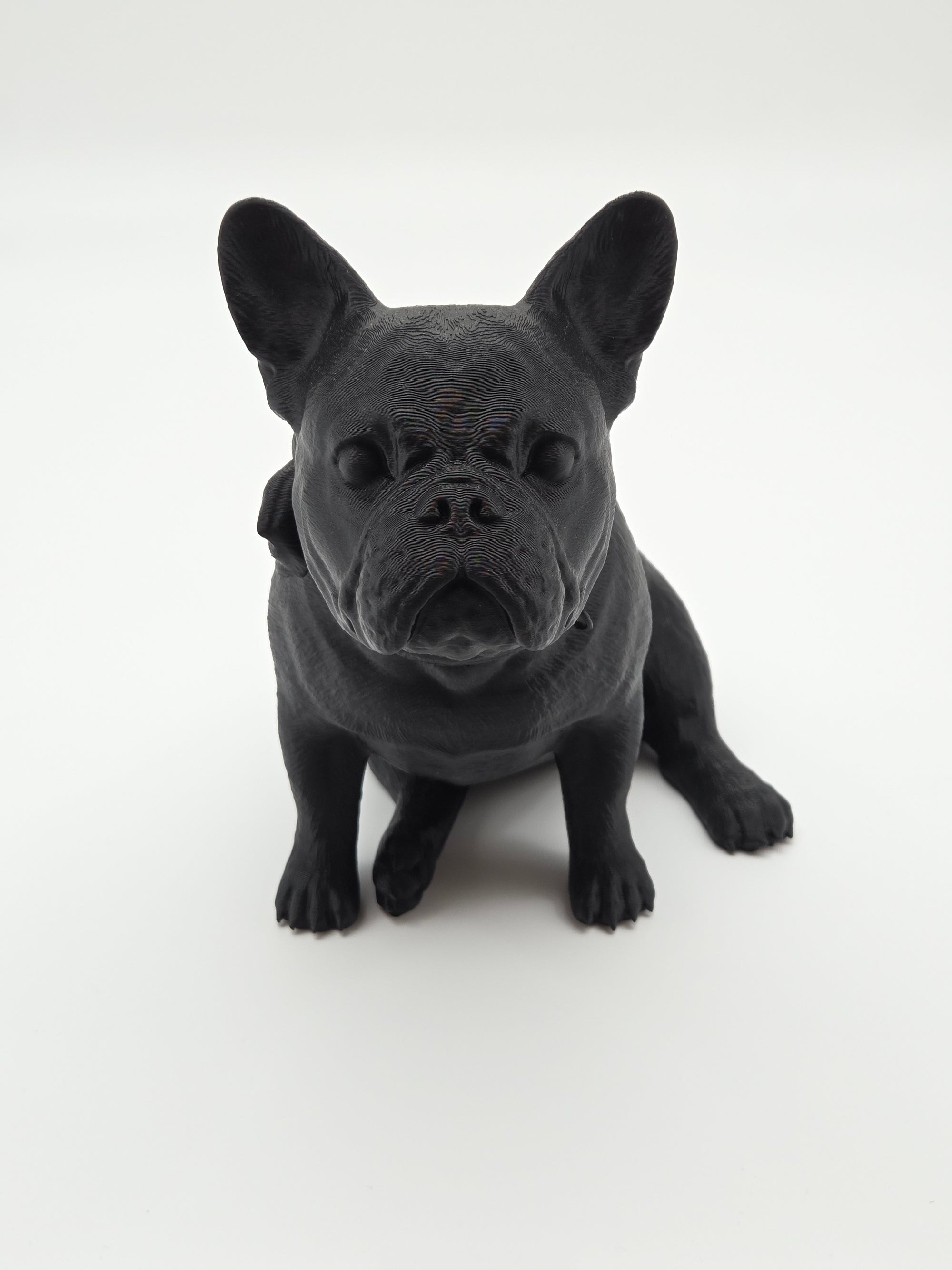 Rosie - Fransk Bulldogg
