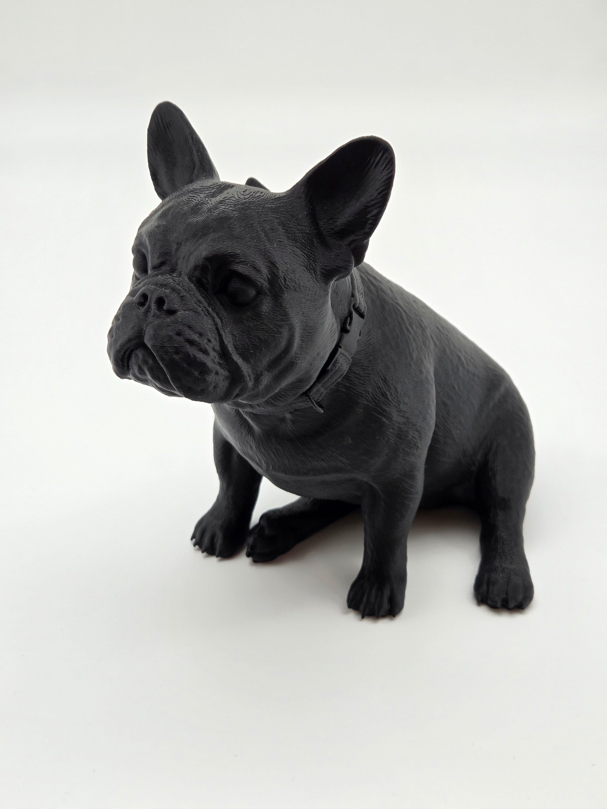 Rosie - Fransk Bulldogg