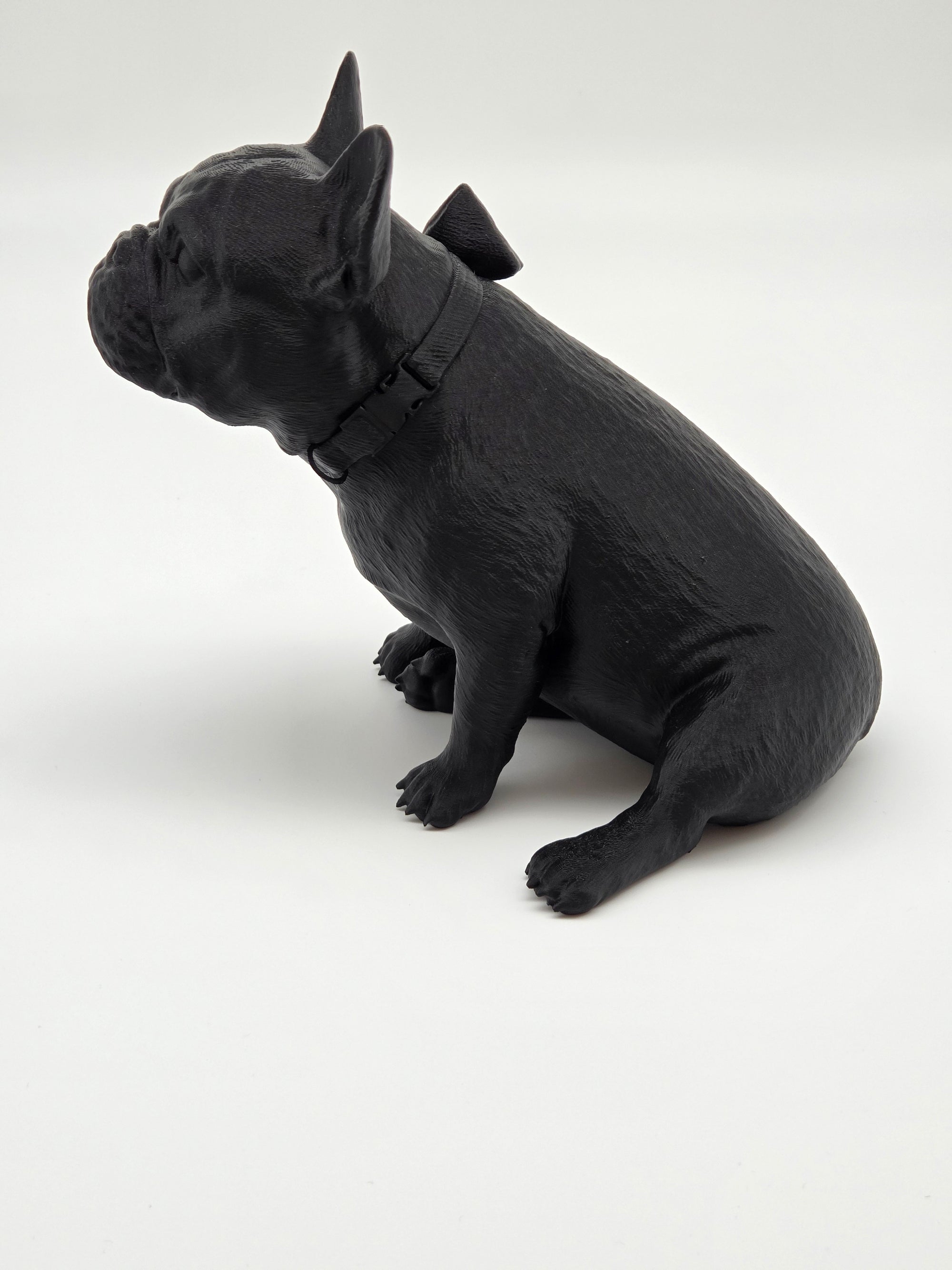 Rosie - Fransk Bulldogg