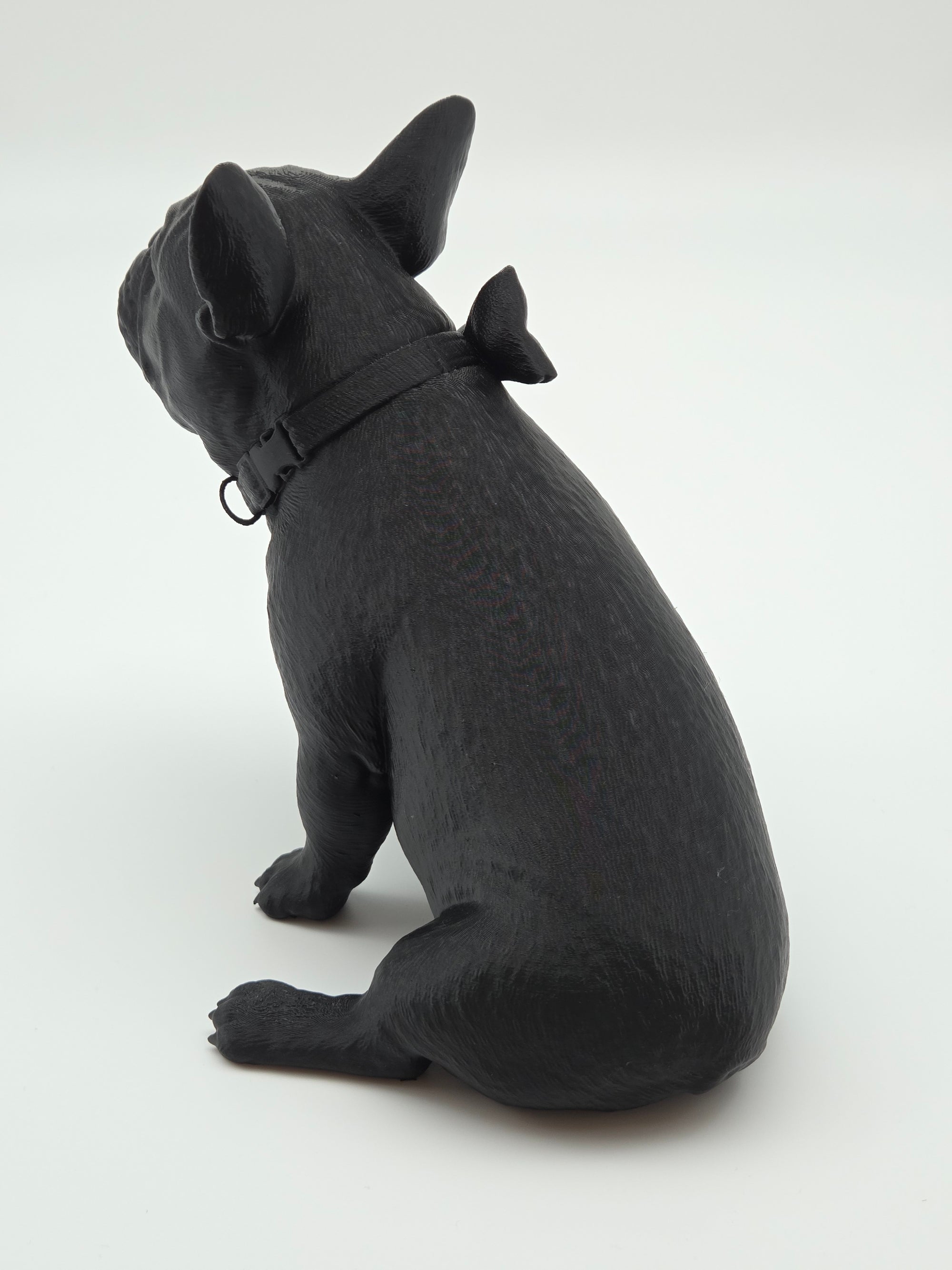 Rosie - Fransk Bulldogg