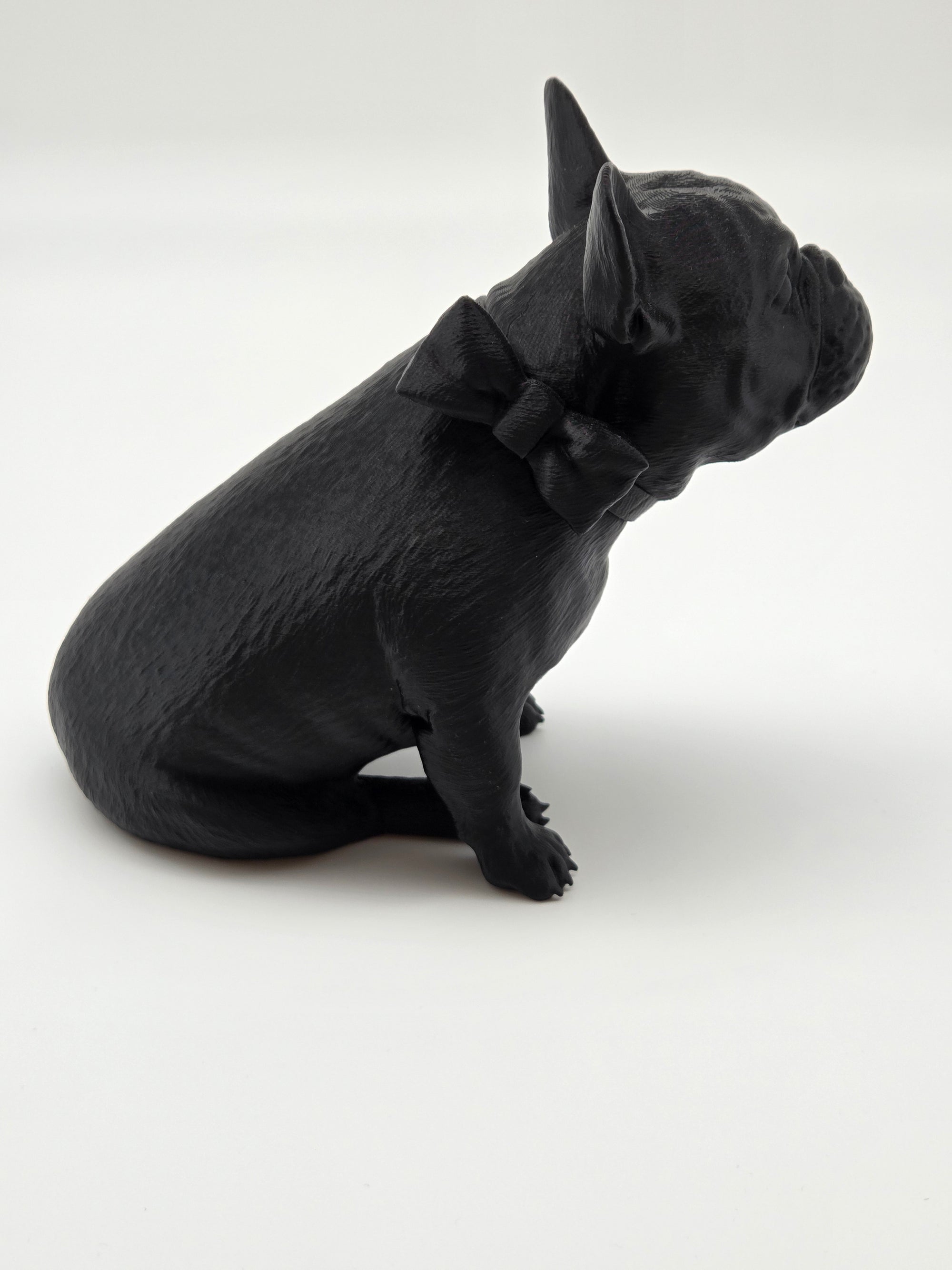 Rosie - Fransk Bulldogg