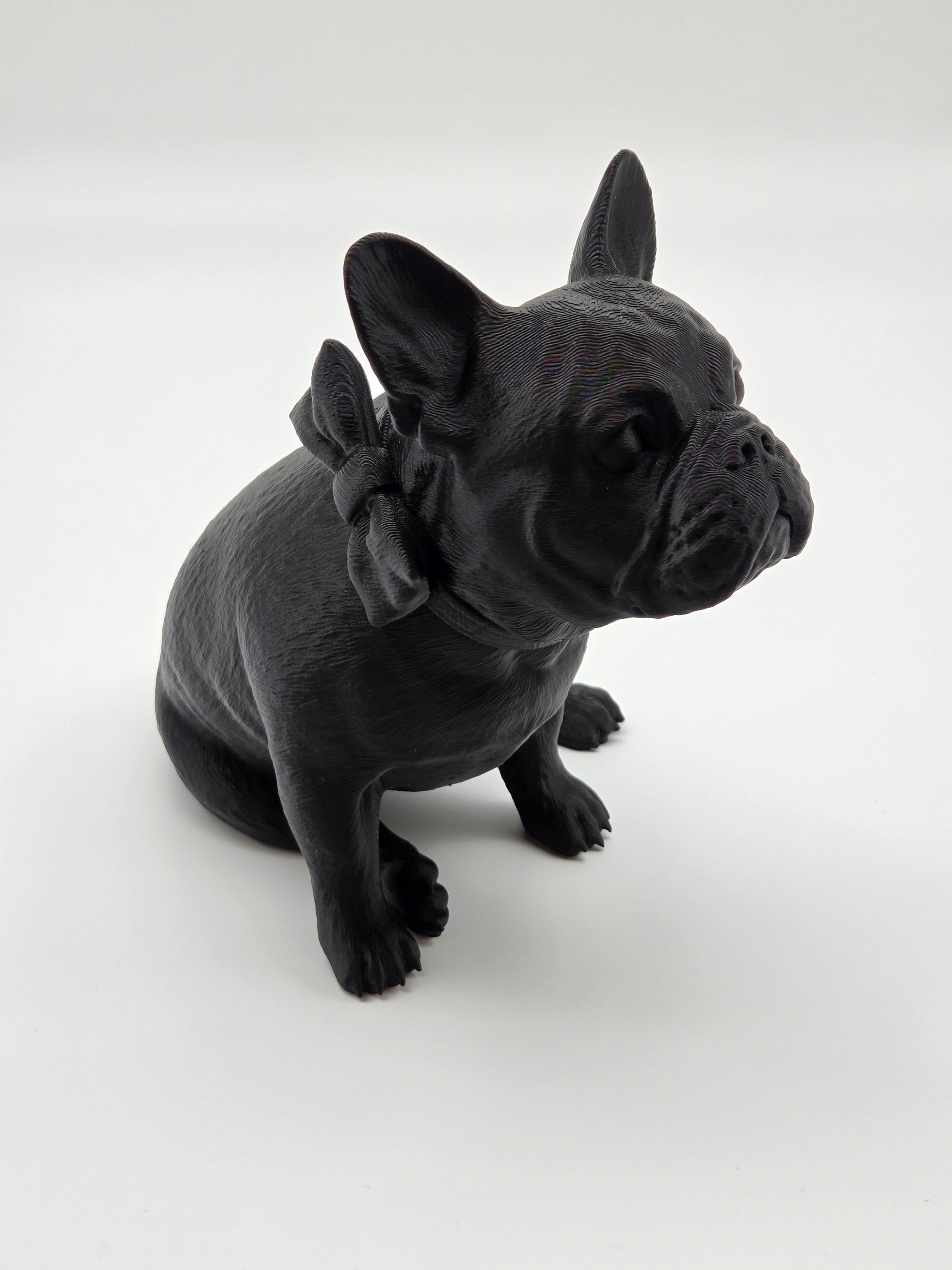 Rosie - Fransk Bulldogg
