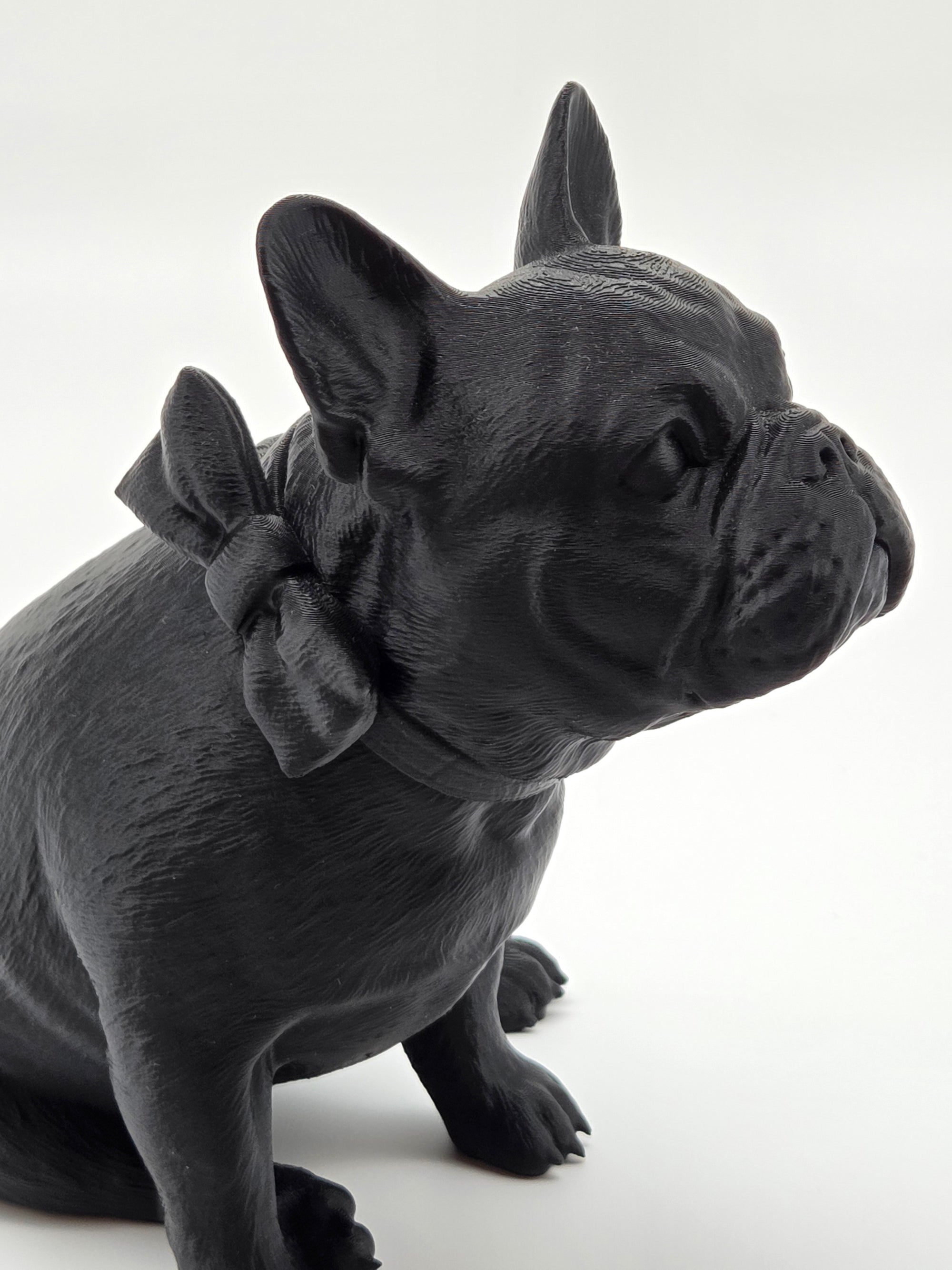 Rosie - Fransk Bulldogg
