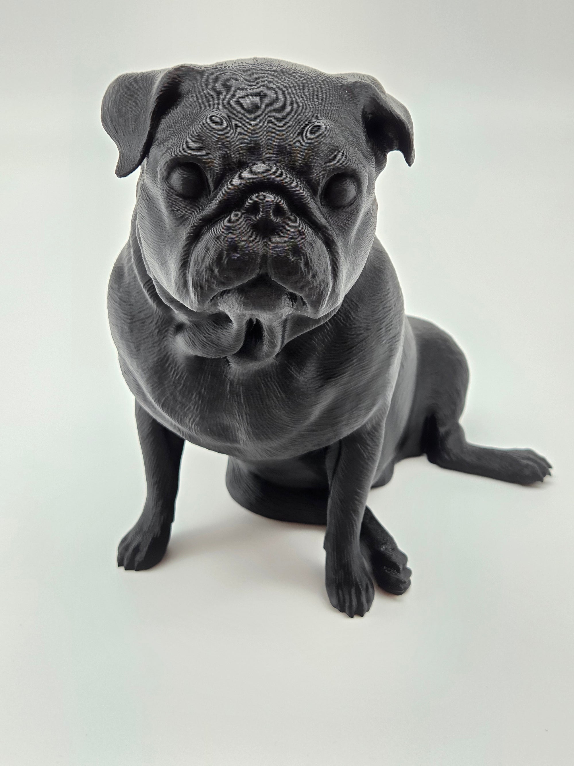 Fonzie - Mops