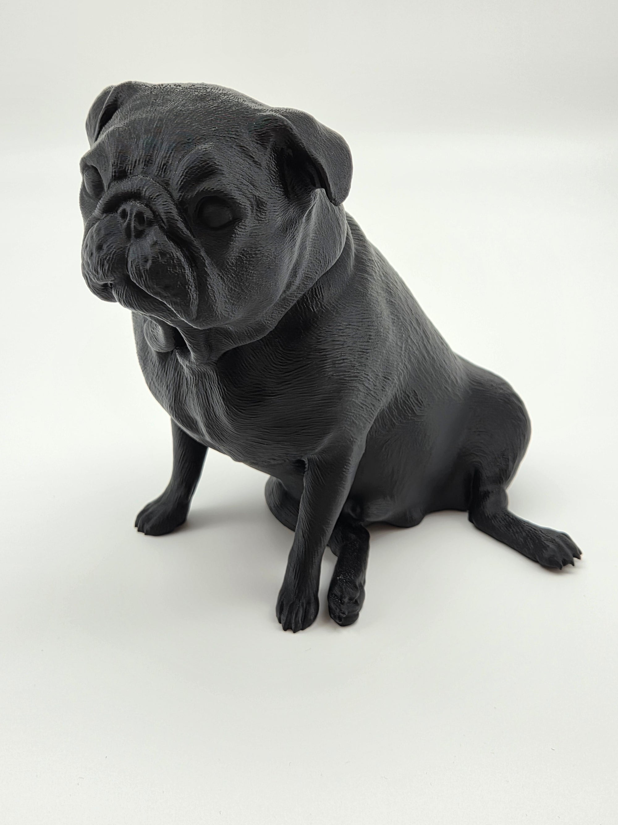Fonzie - Mops