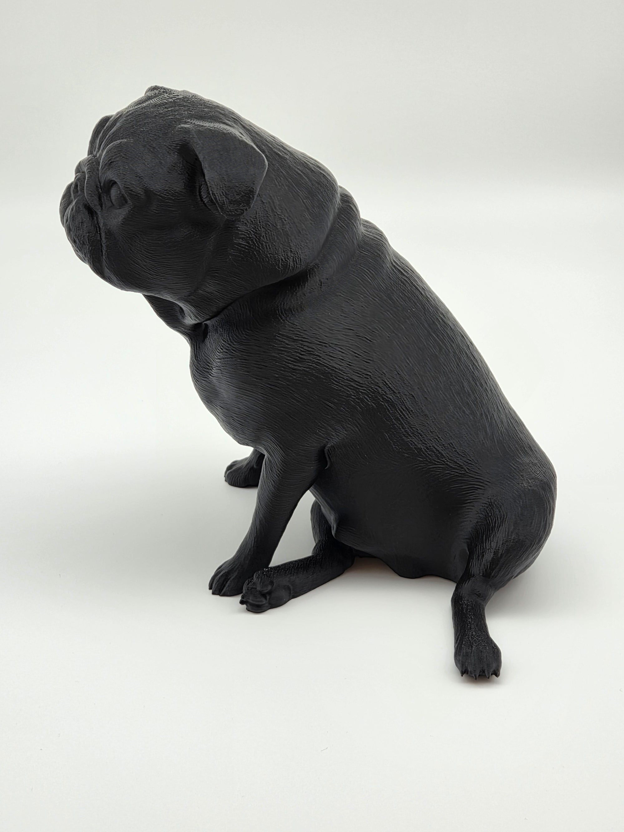 Fonzie - Mops