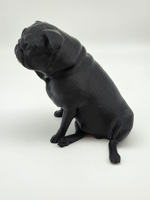 Fonzie - Mops