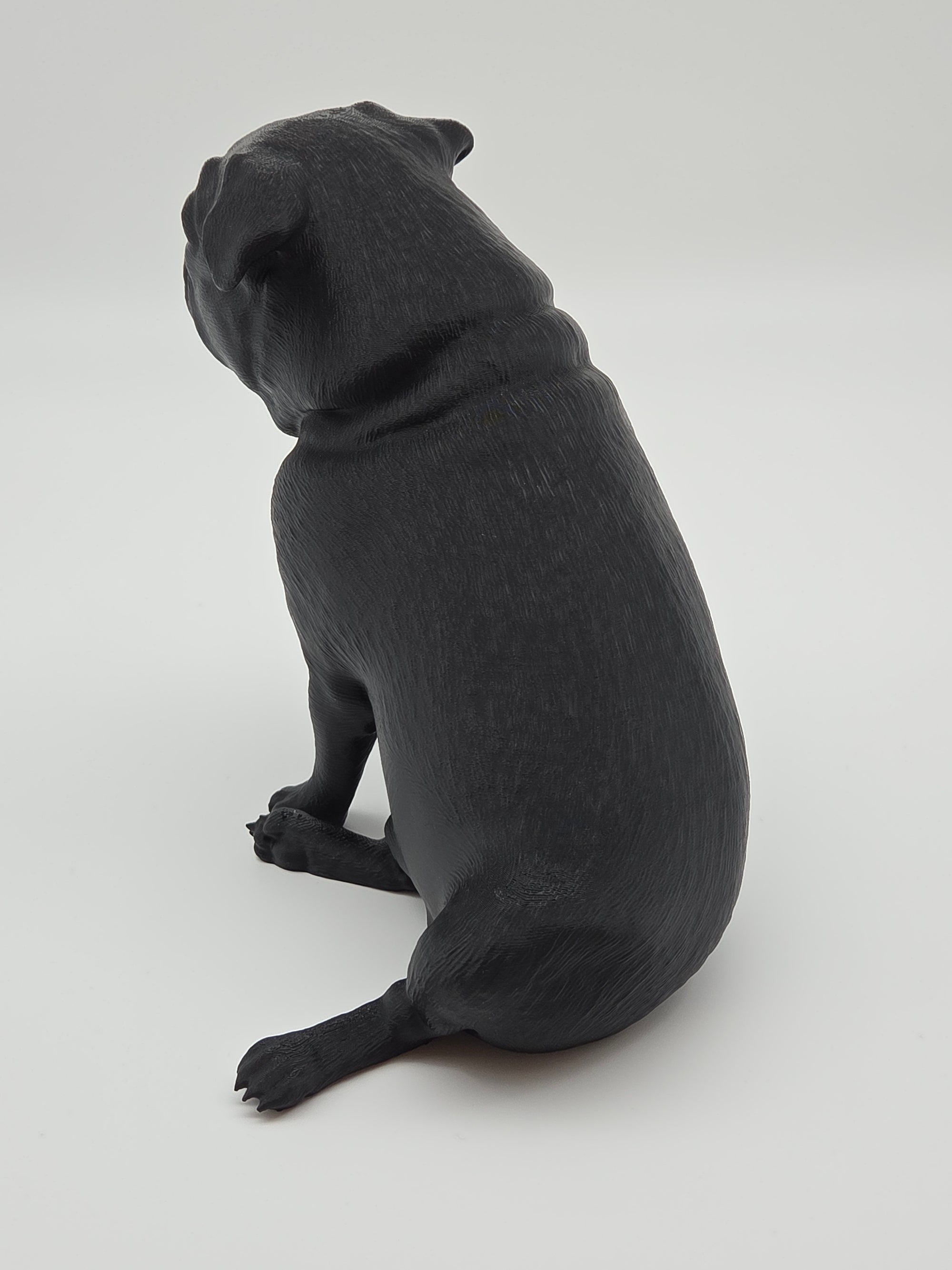 Fonzie - Mops