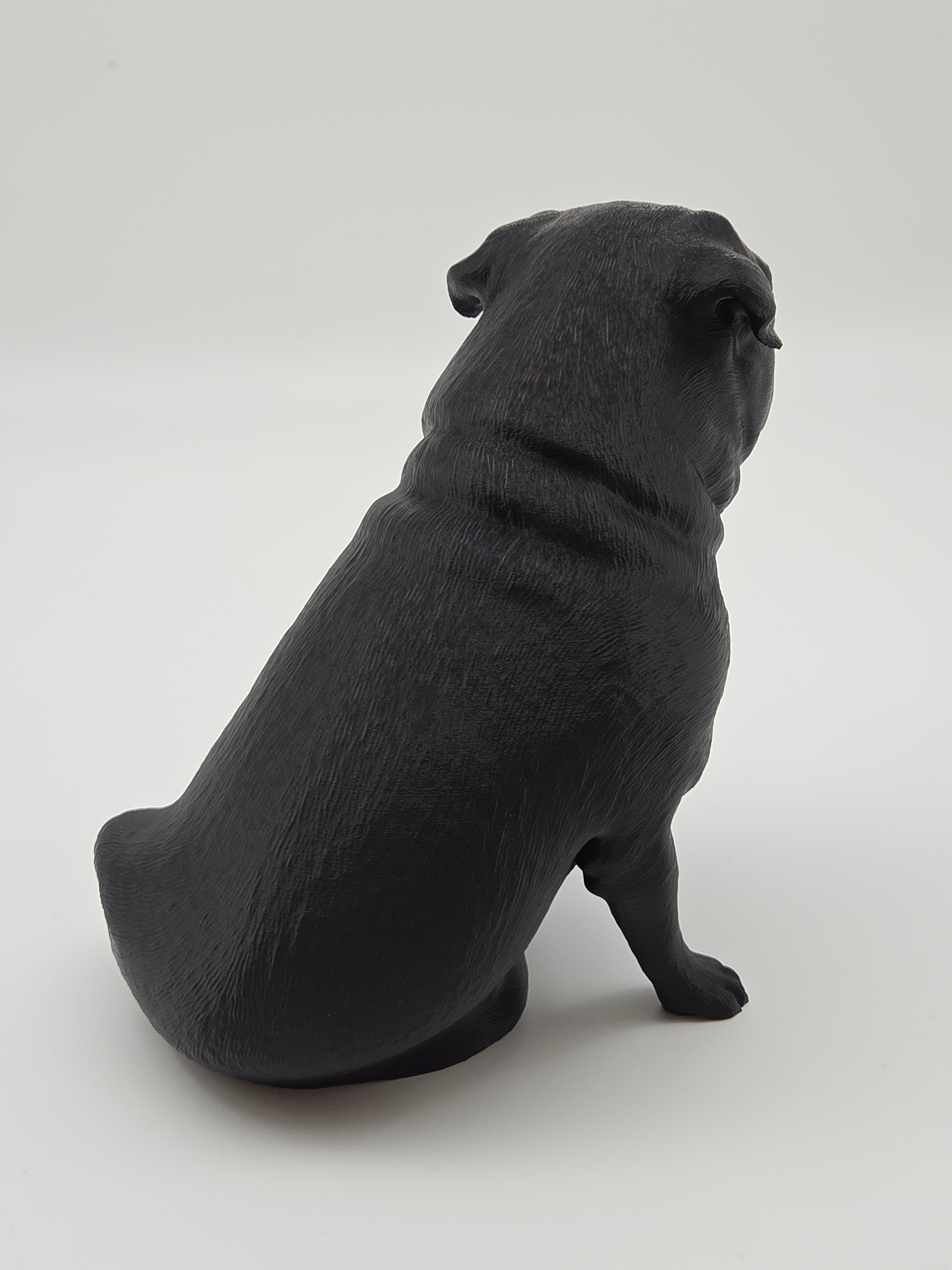 Fonzie - Mops