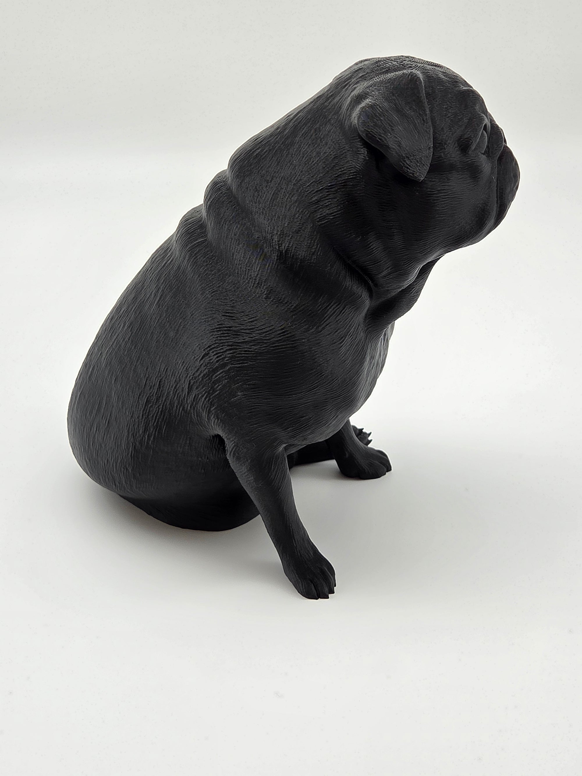 Fonzie - Mops