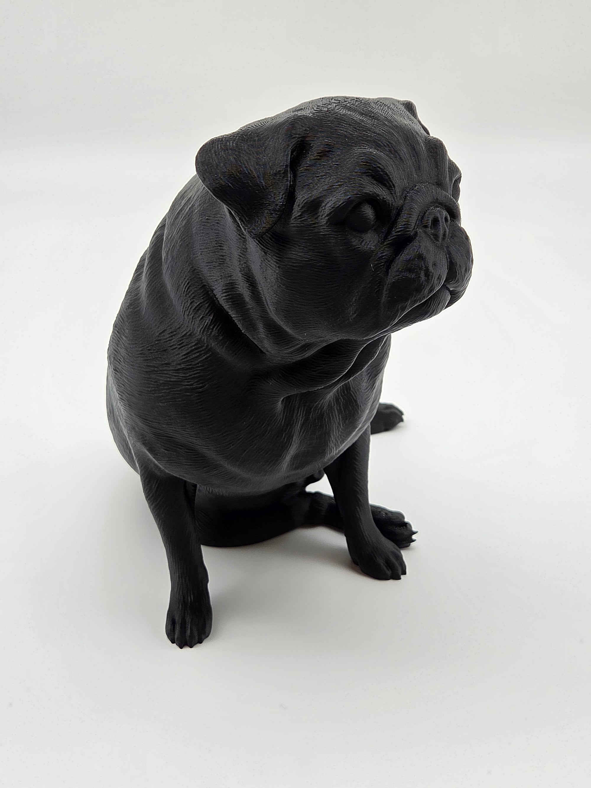 Fonzie - Mops