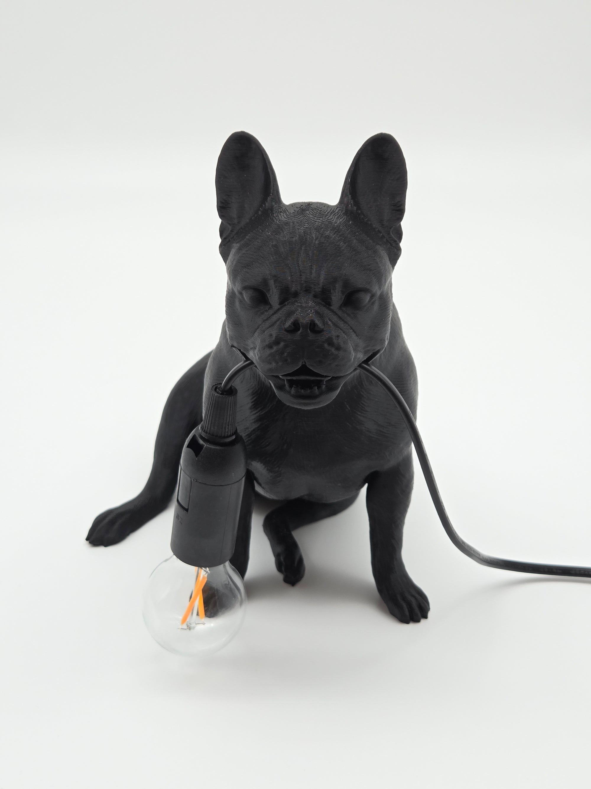Frank - Fransk Bulldogg