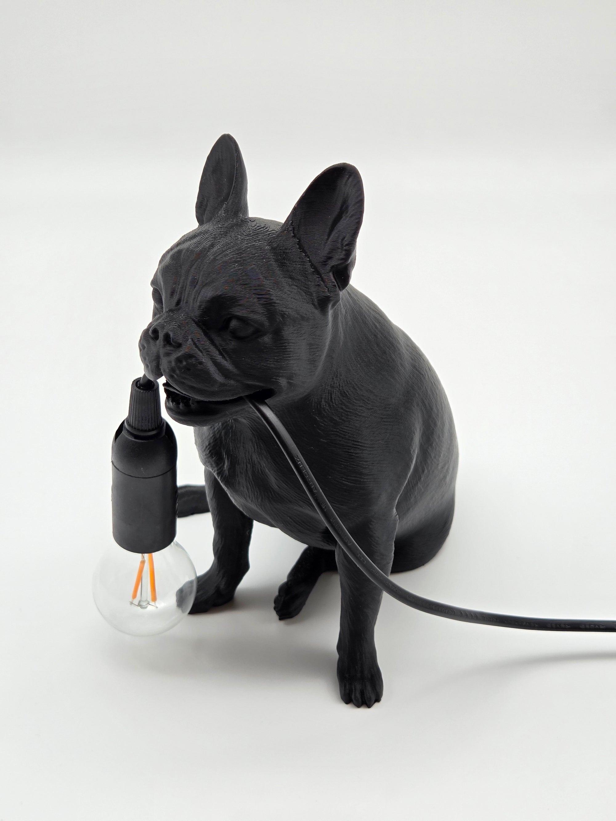 Frank - Fransk Bulldogg