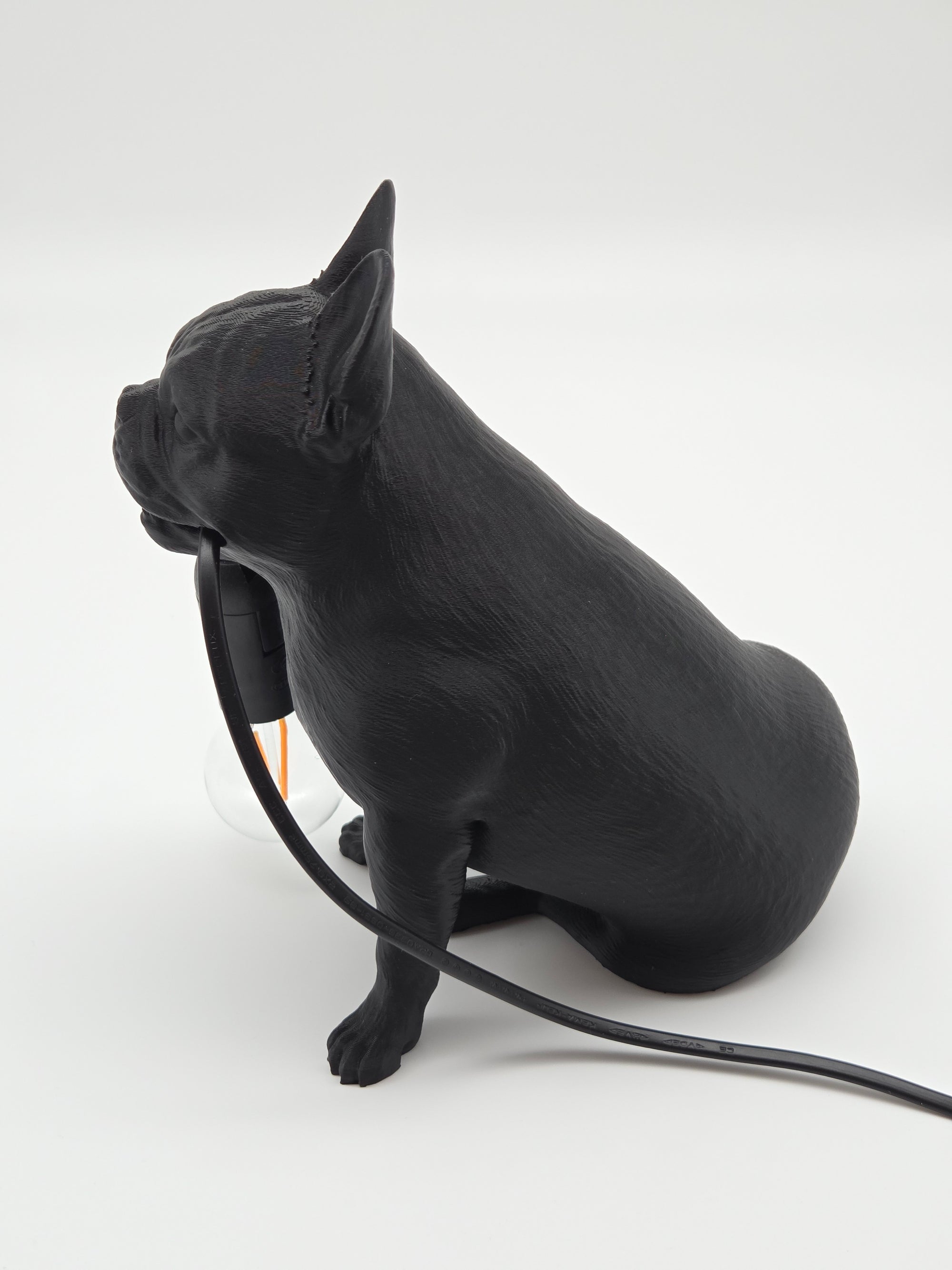 Frank - Fransk Bulldogg