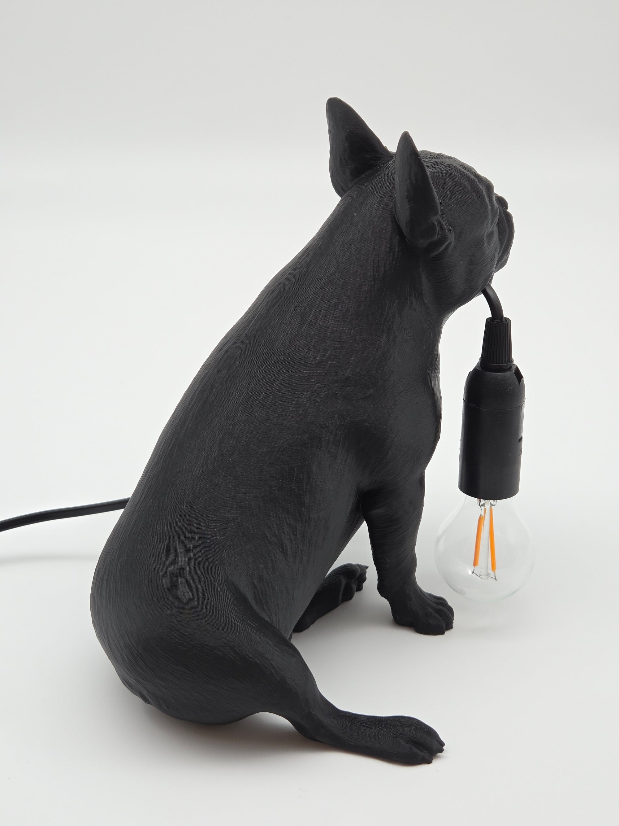 Frank - Fransk Bulldogg
